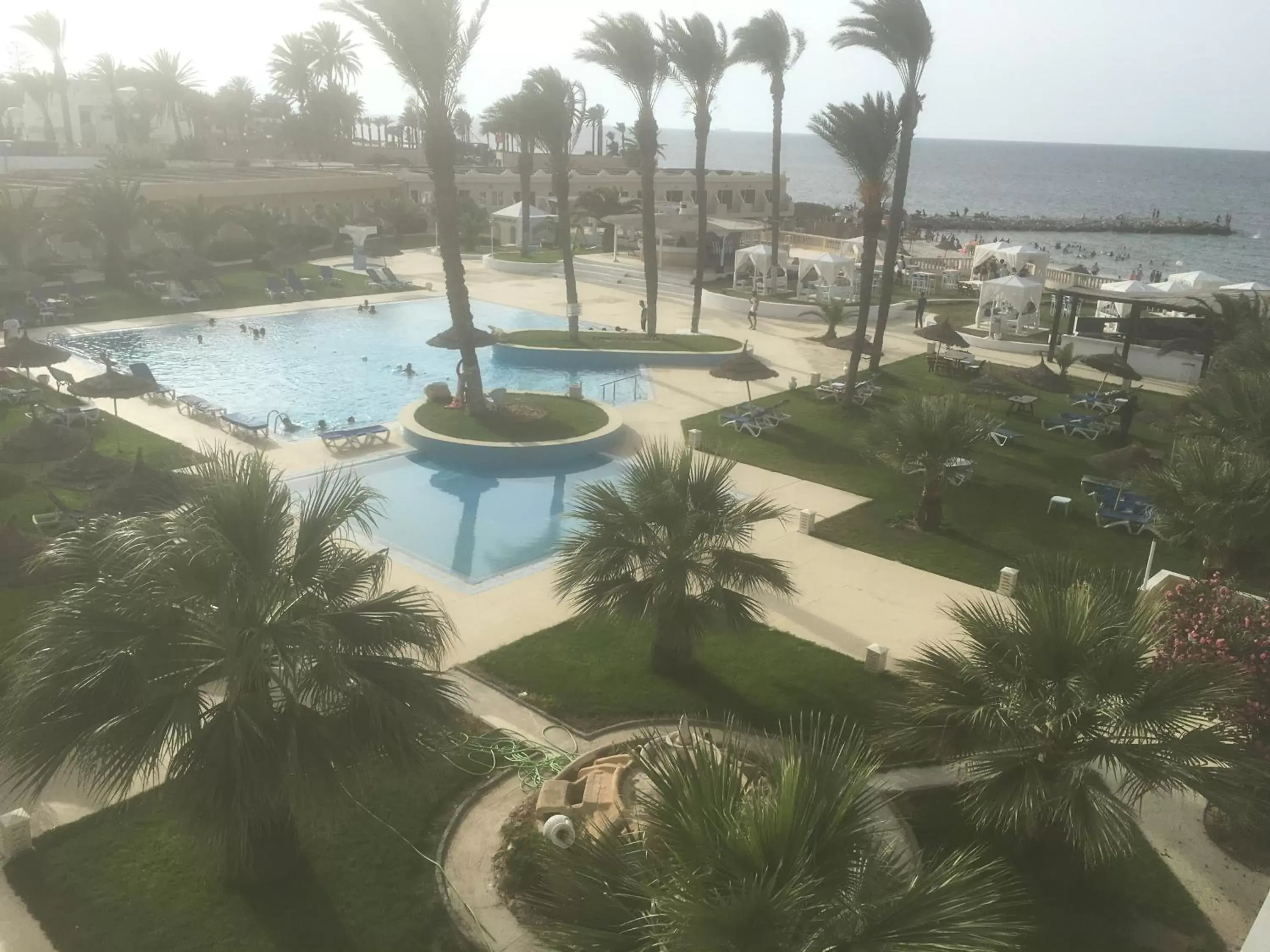 Swimming pool, Pool View in Hotel Les Palmiers