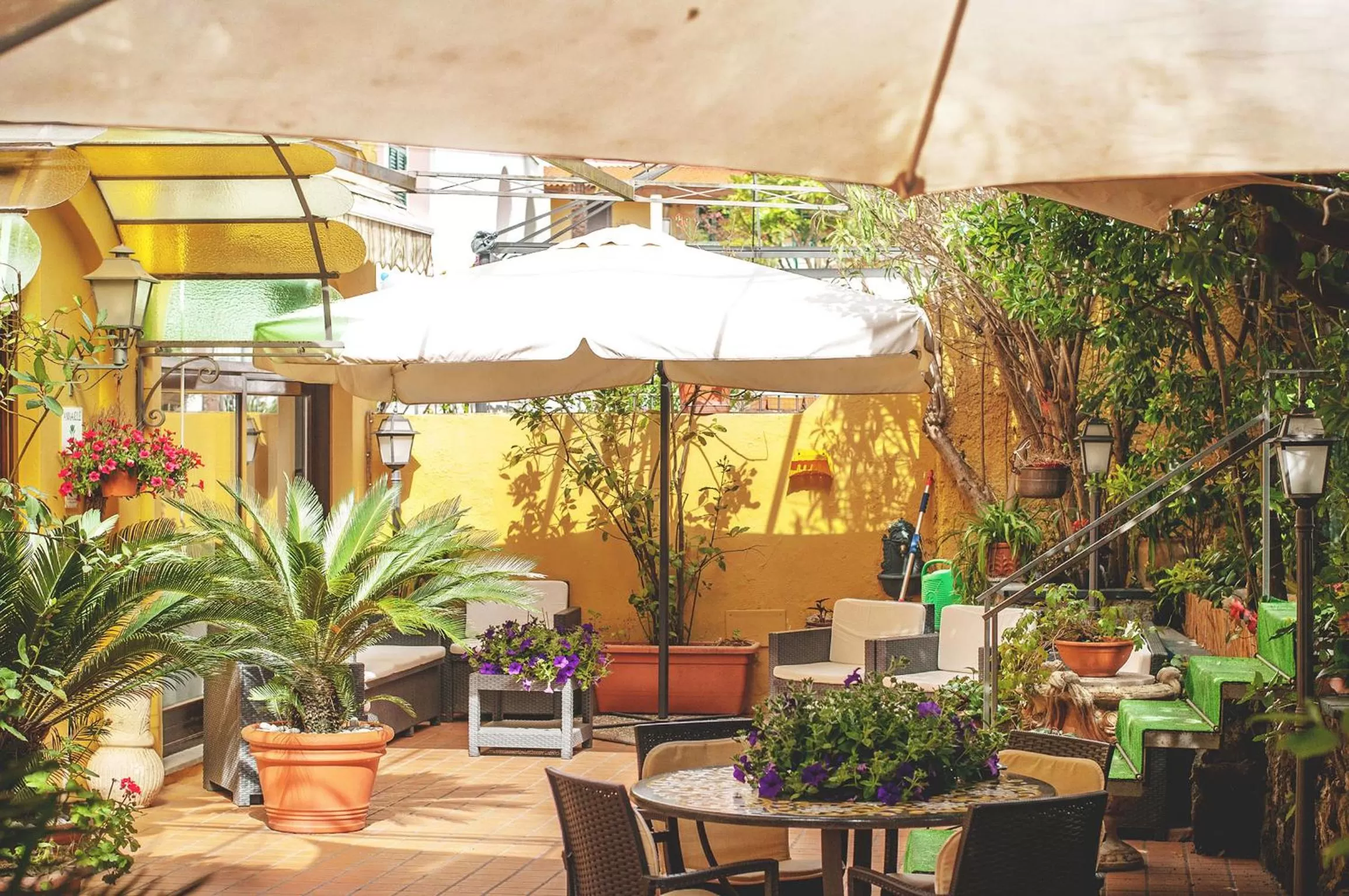 Patio in Hotel Annabelle