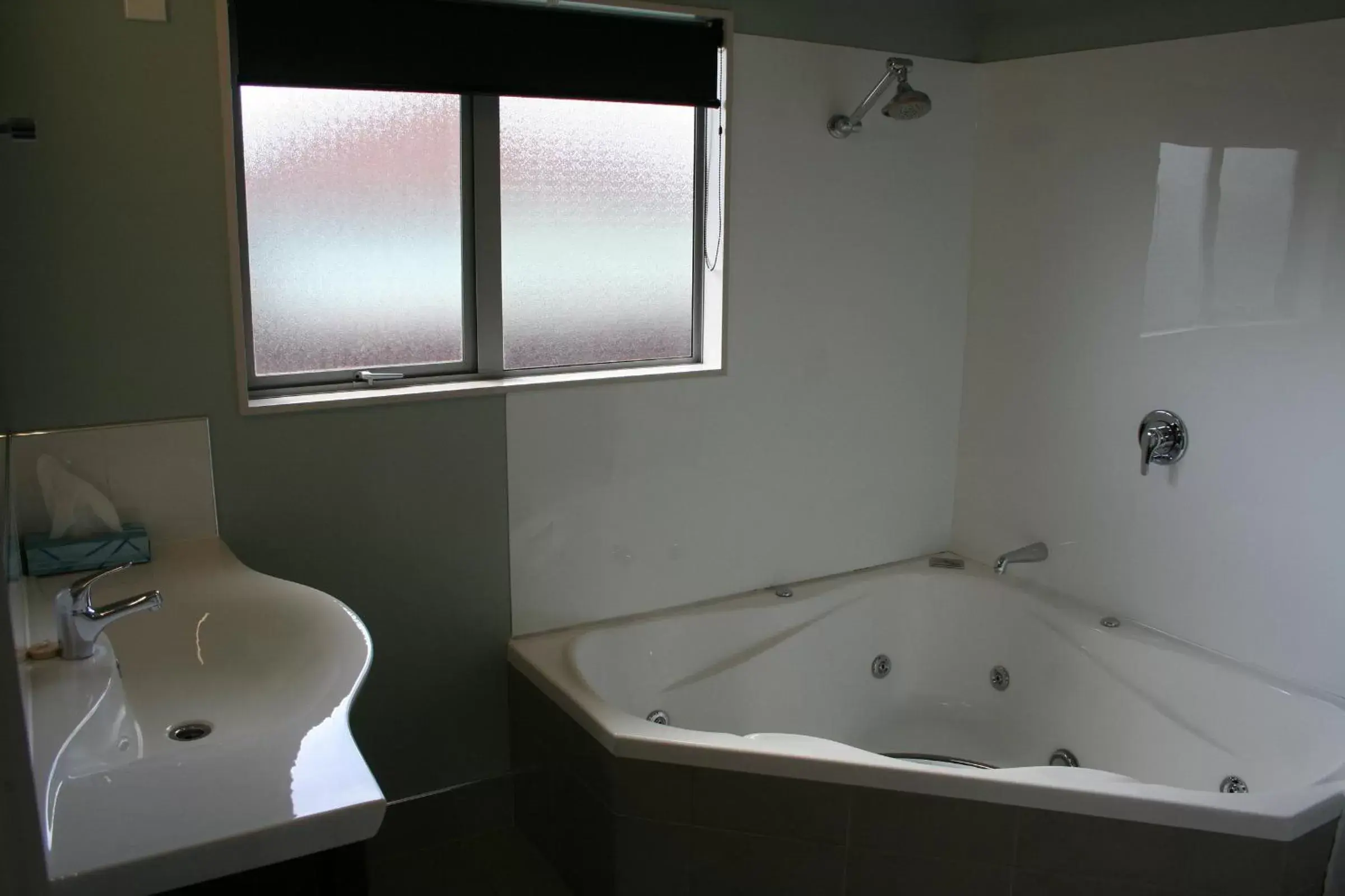 Bathroom in Aveda Motor Lodge