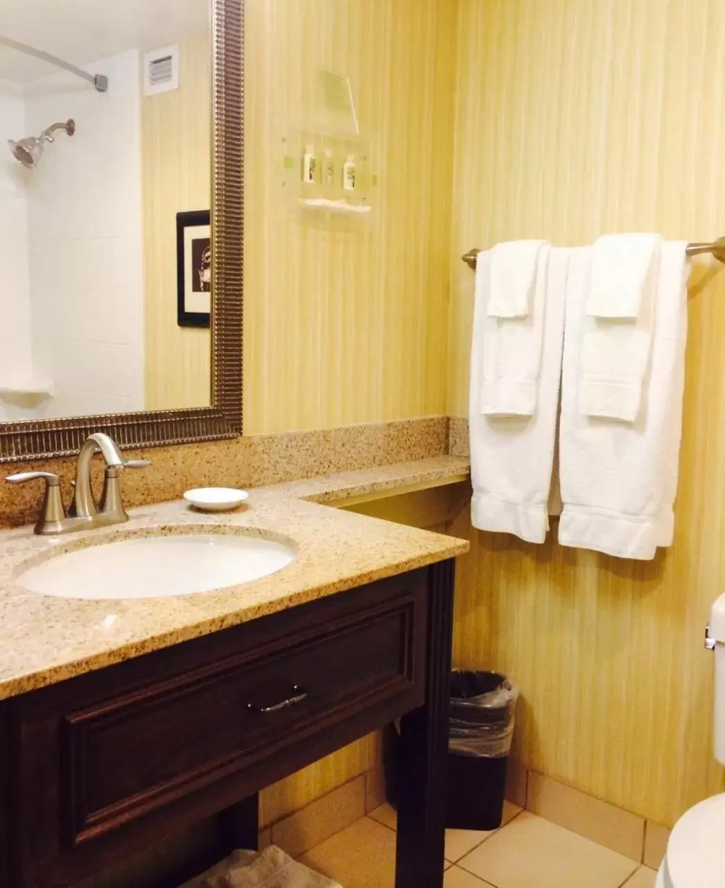 Bathroom in Holiday Inn Timonium, an IHG Hotel