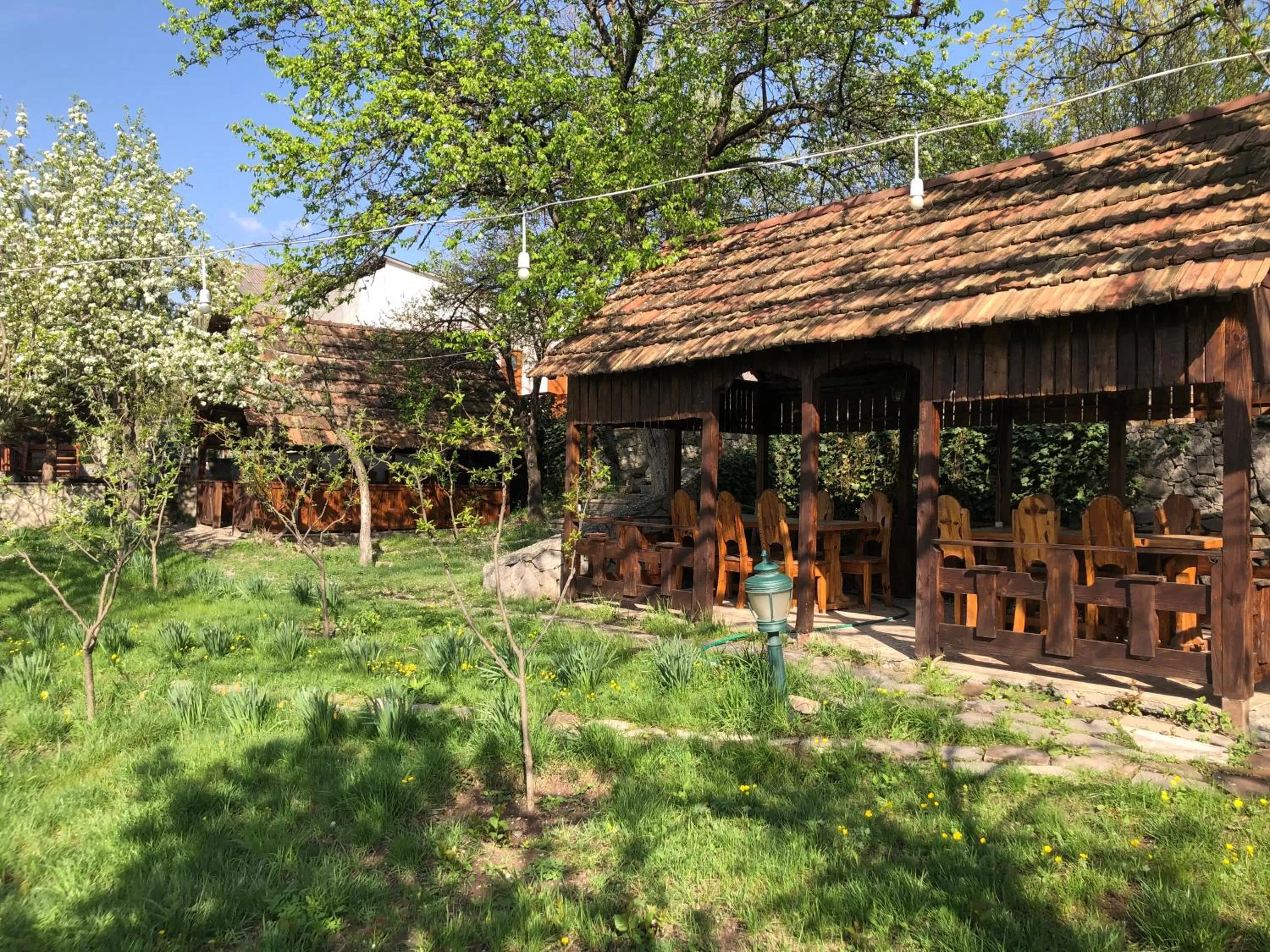 Garden in Dil Hill by Sam