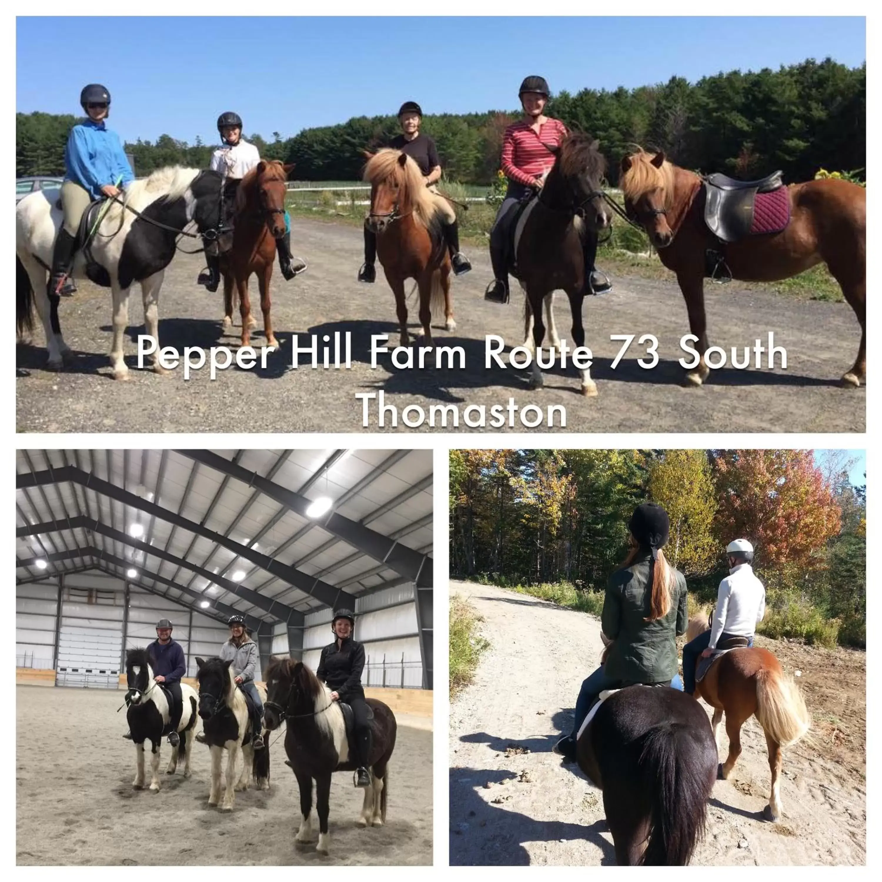 Horse-riding, Horseback Riding in Hartstone Inn & Hideaway