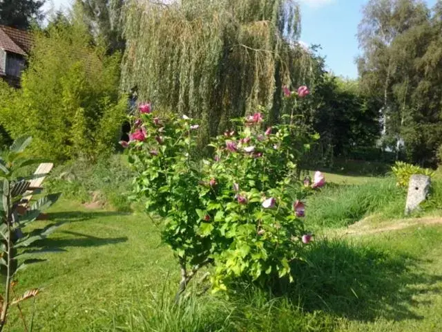 Garden in Kervaillant