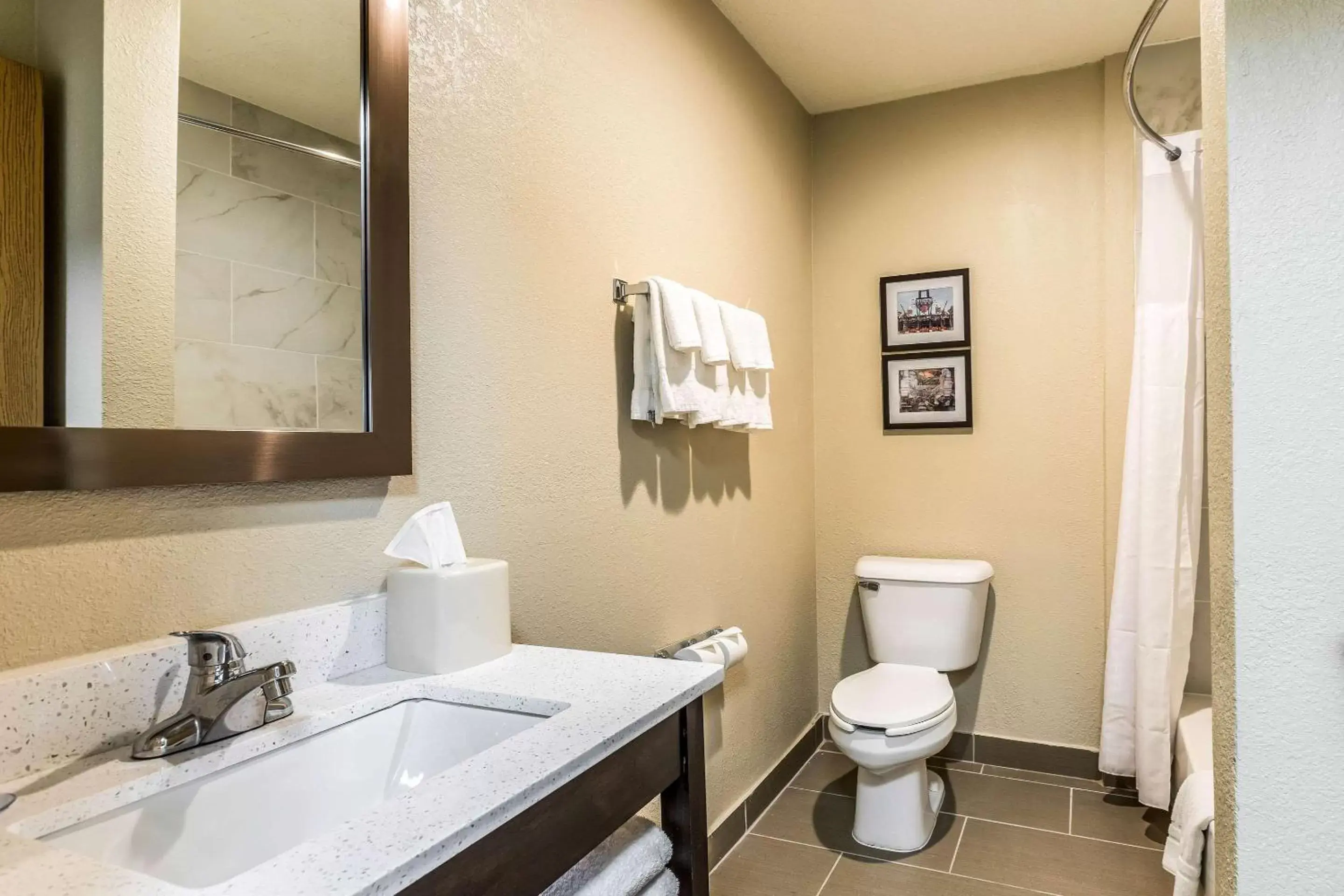 Photo of the whole room, Bathroom in Comfort Inn Downtown Detroit