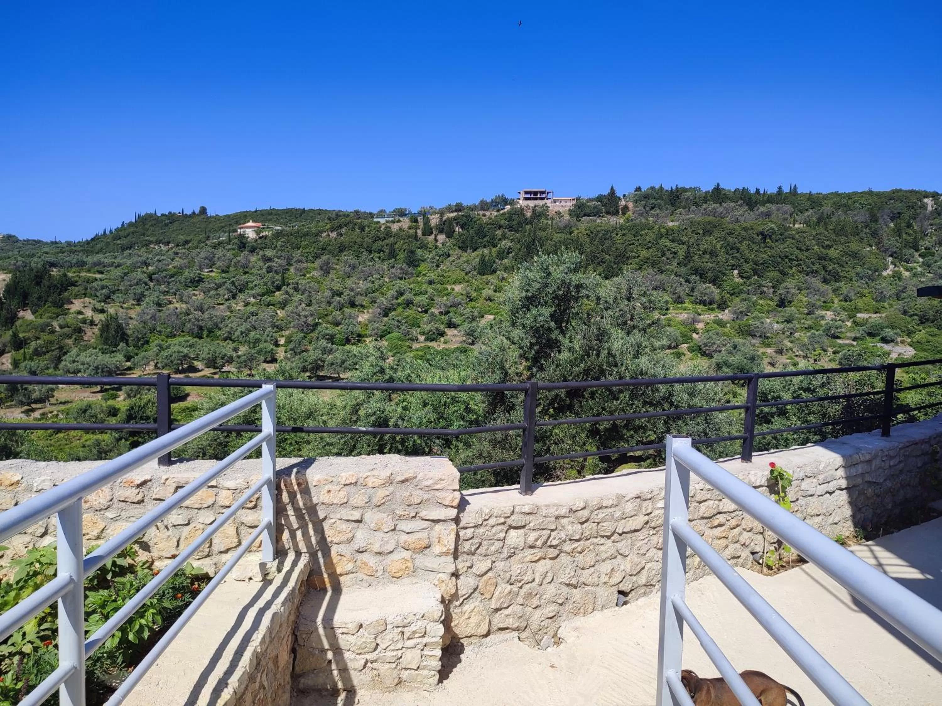 Natural landscape in Petros rooms