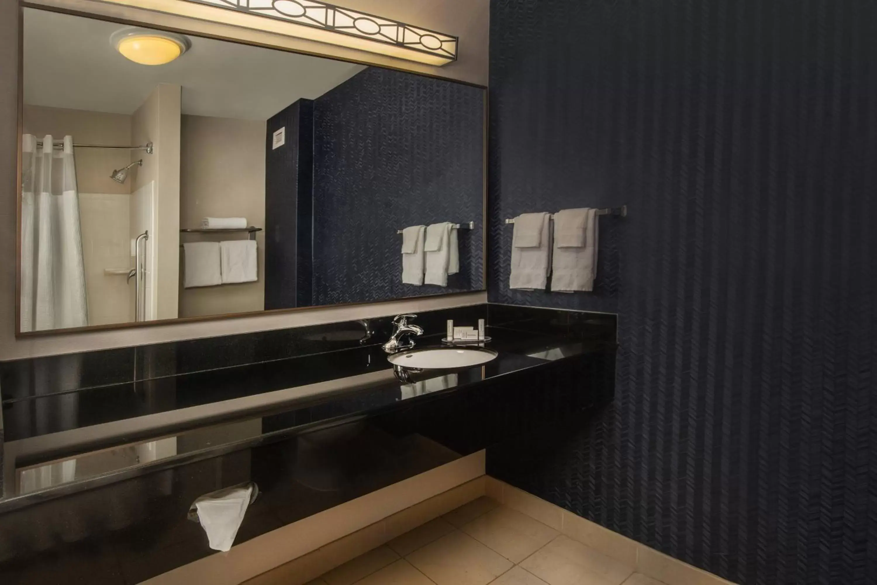 Bathroom in Fairfield Inn and Suites by Marriott Harrisonburg