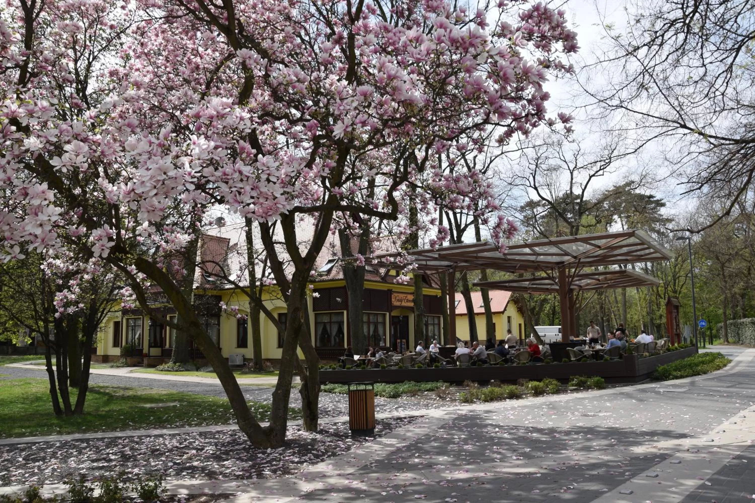 Property building in Villa Hotel