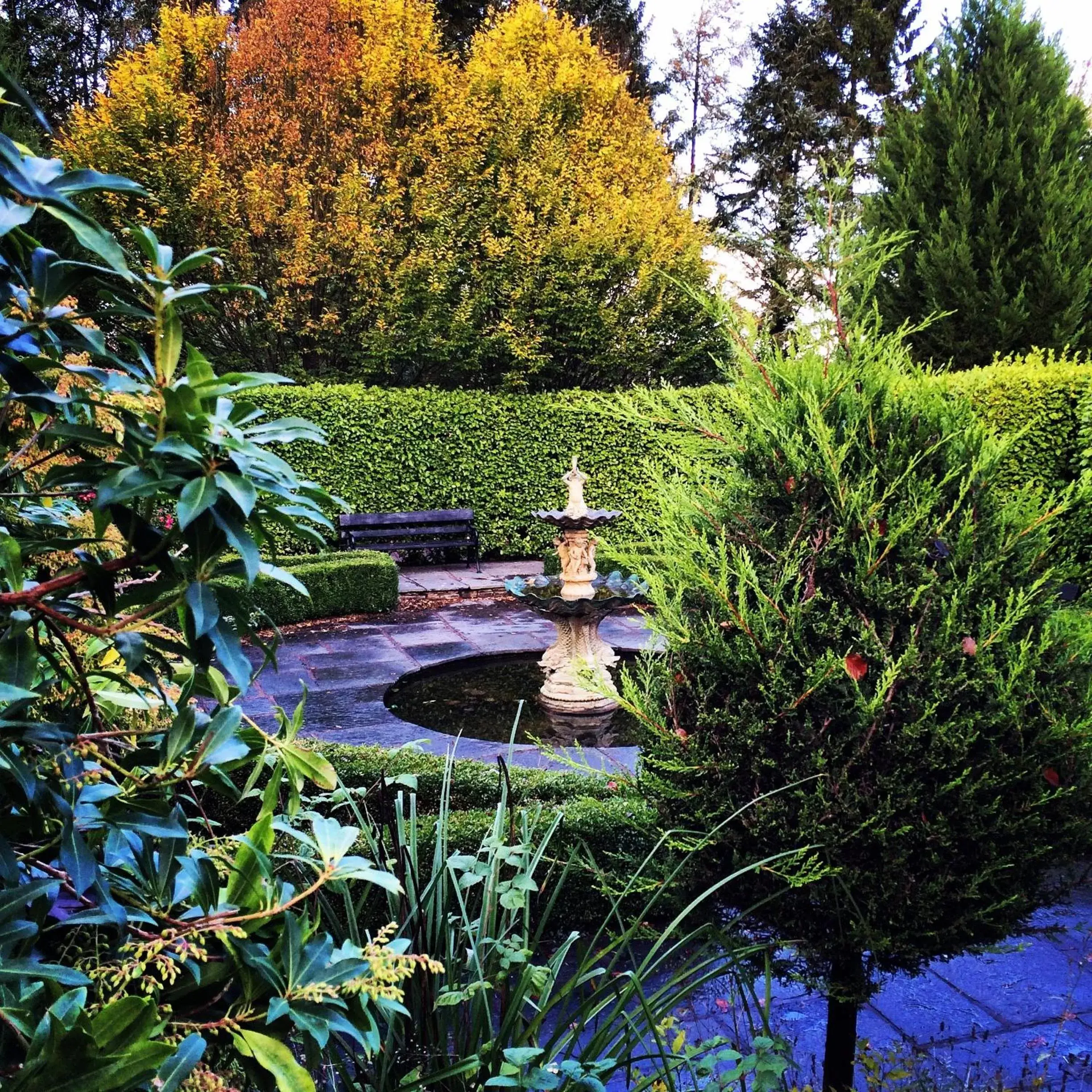 Garden in Maryborough Hotel & Spa