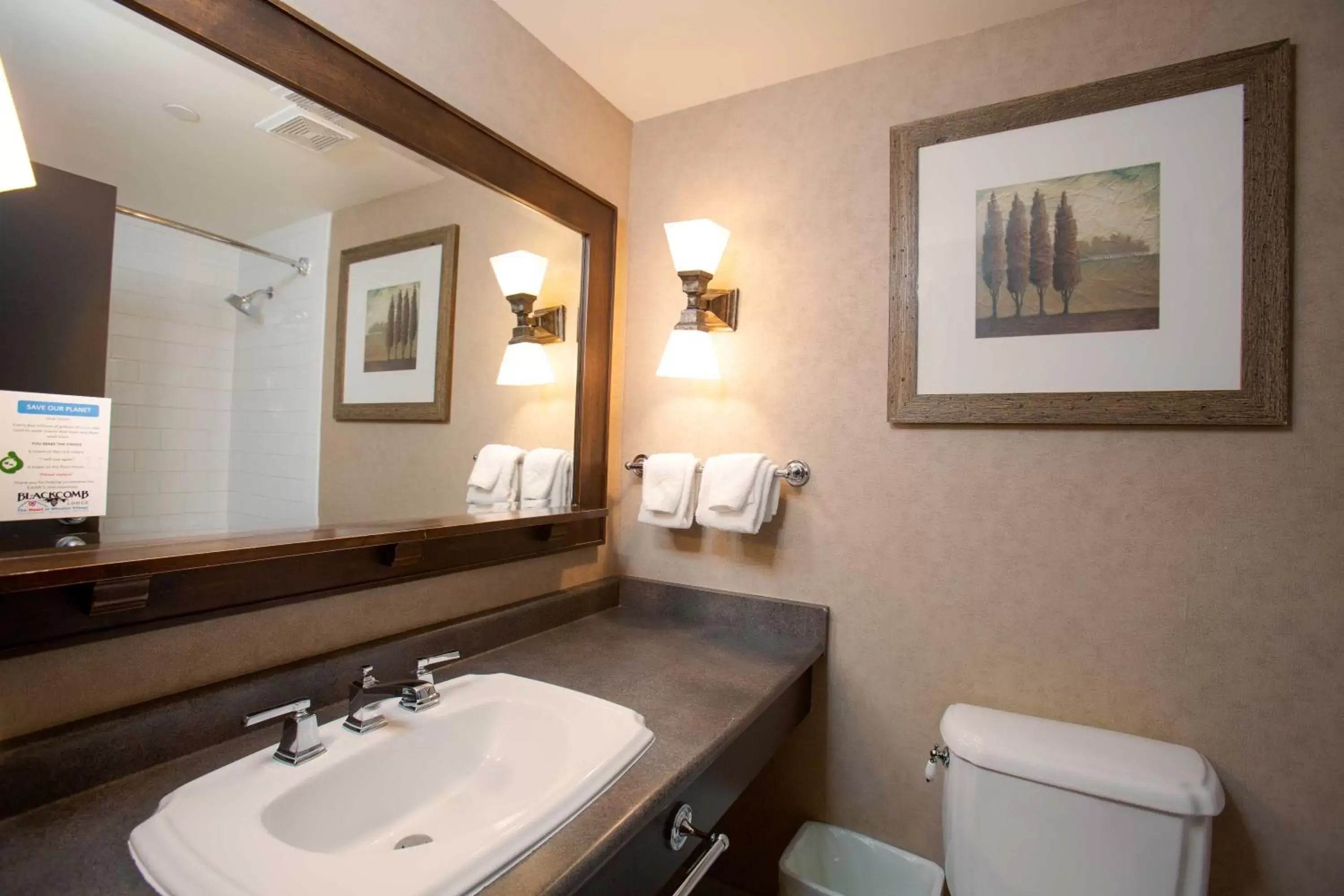 Bathroom in Blackcomb Lodge