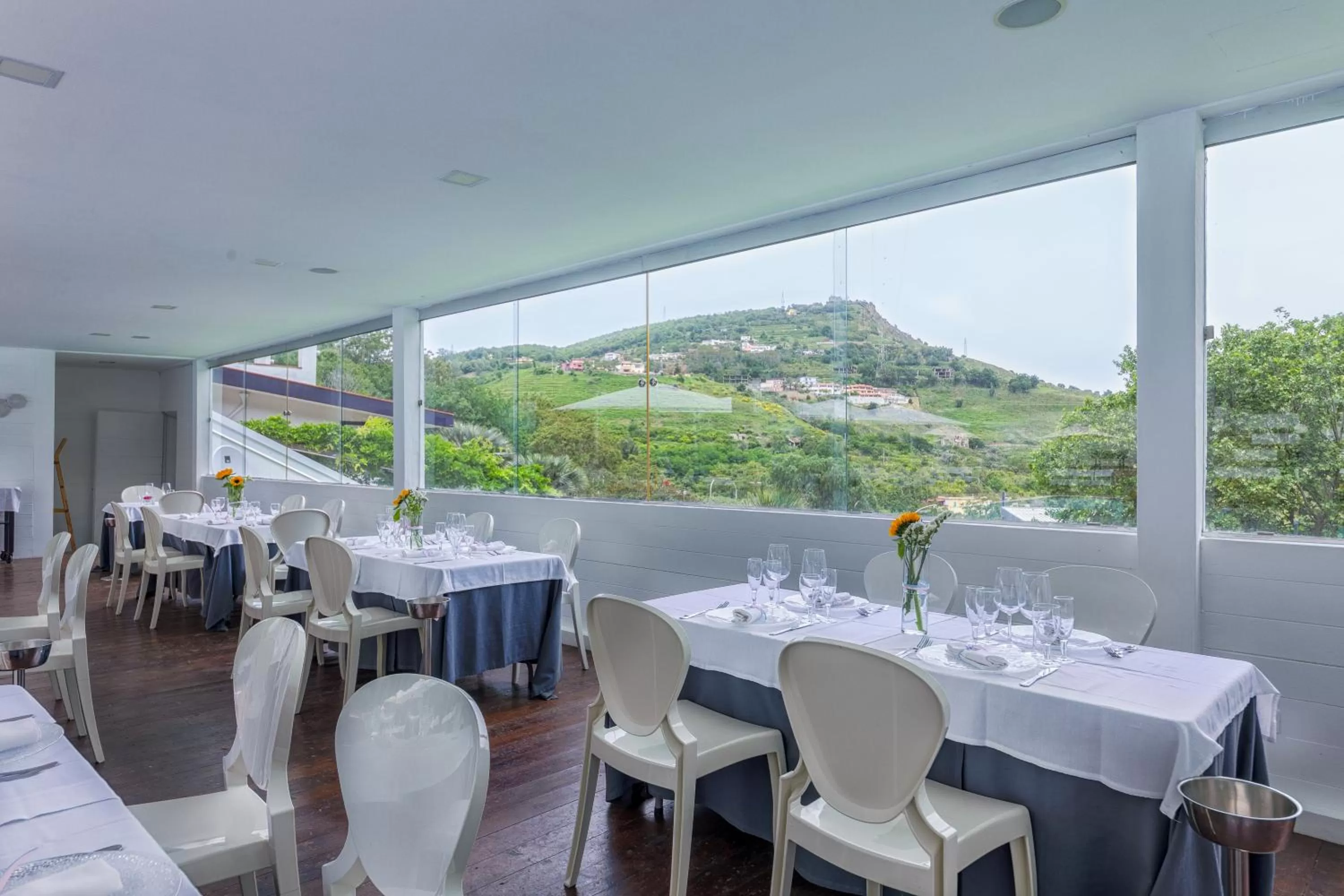 Restaurant/places to eat in Agave Hotel