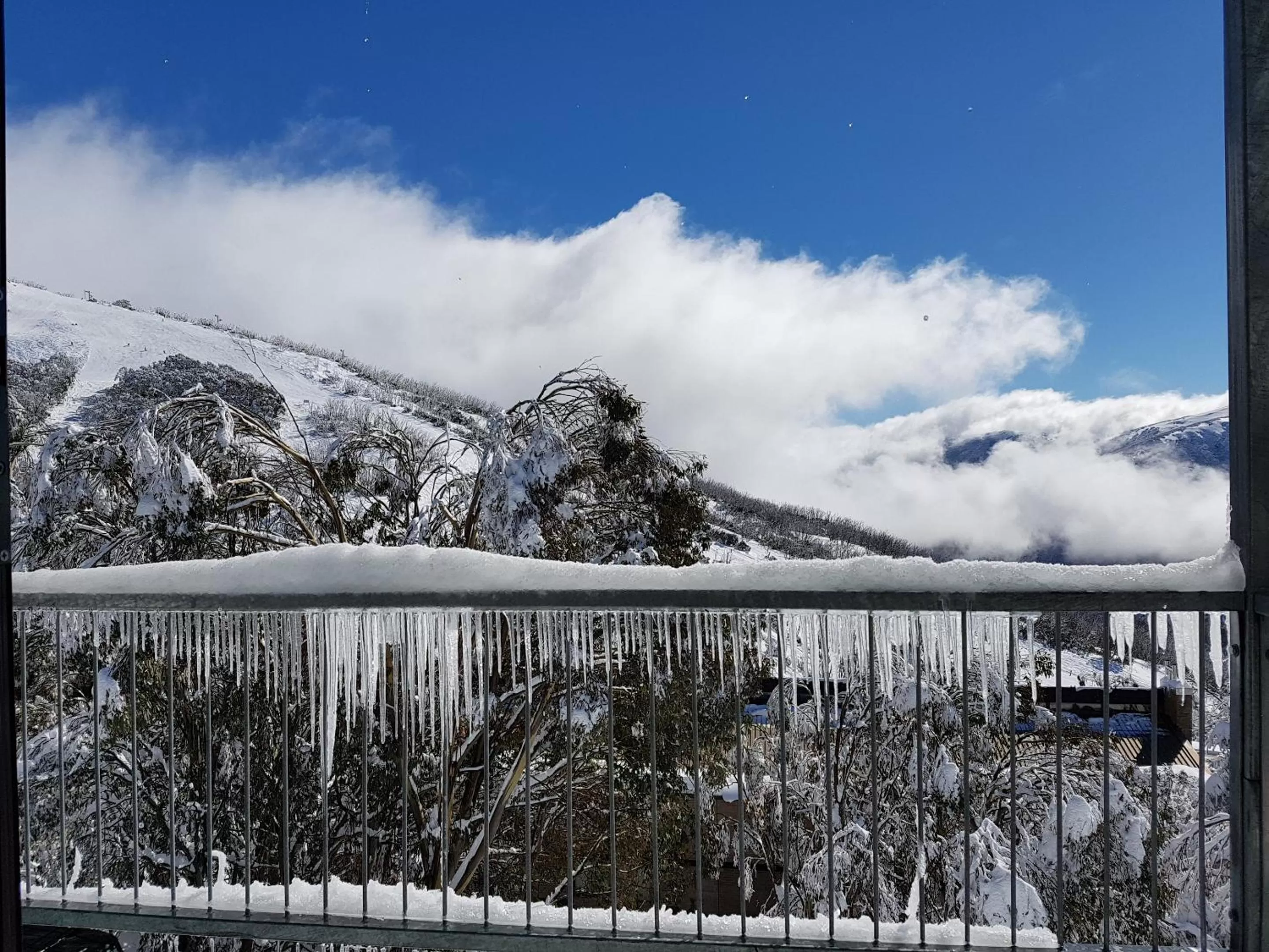 Natural landscape in Cedarwood Apartments