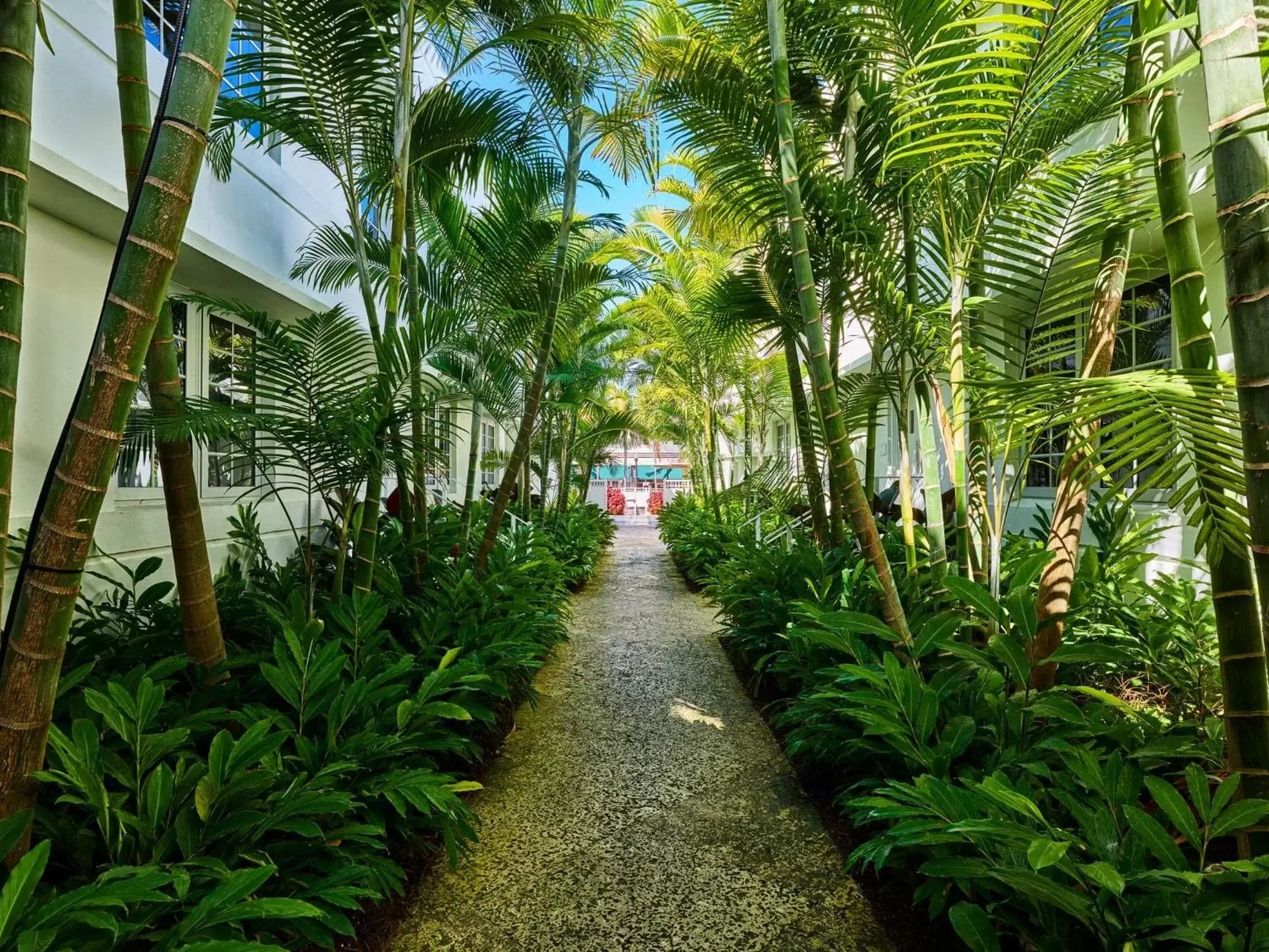 Garden in AxelBeach Miami South Beach - Adults Only