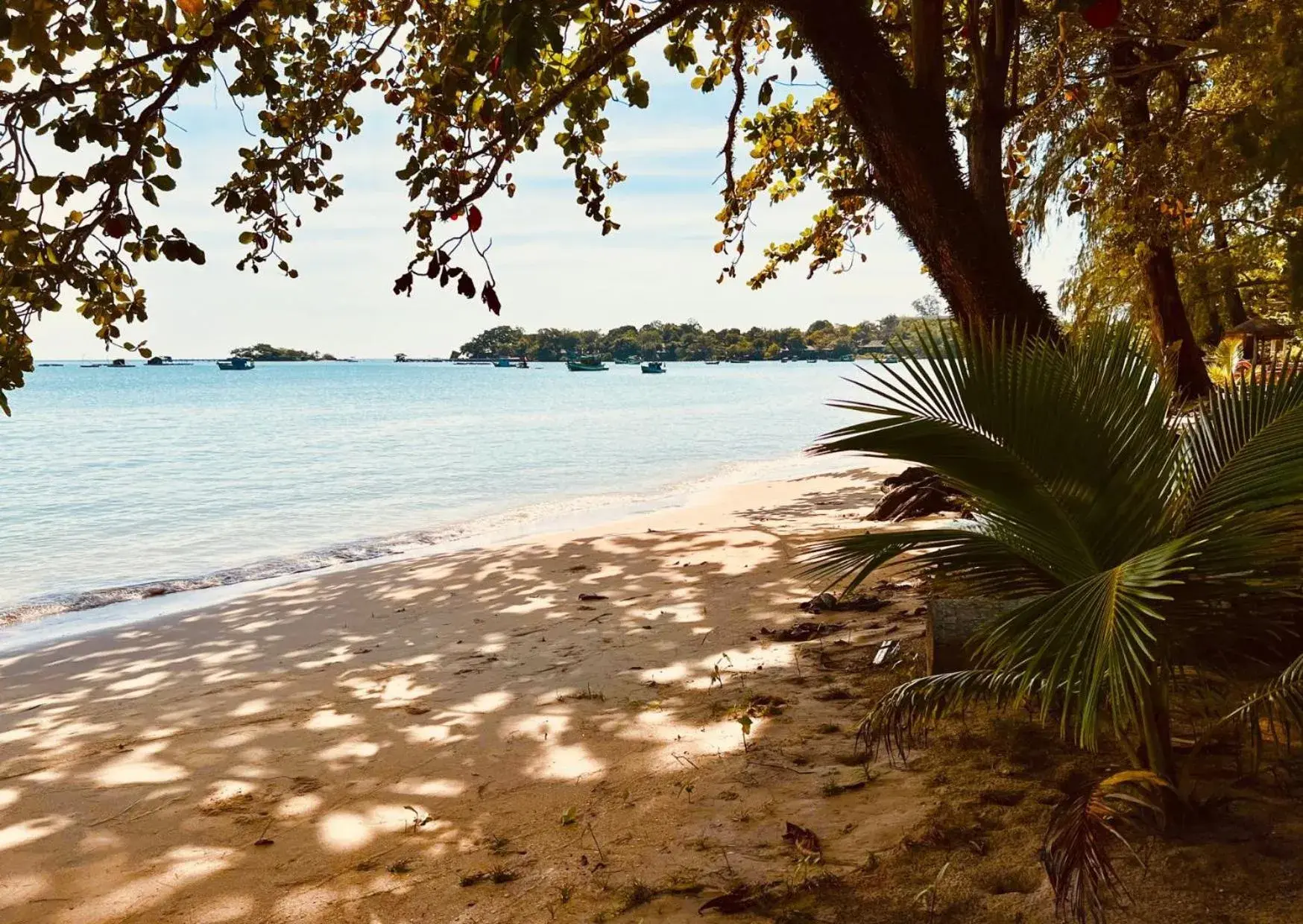 Beach in Bamboo Cottages