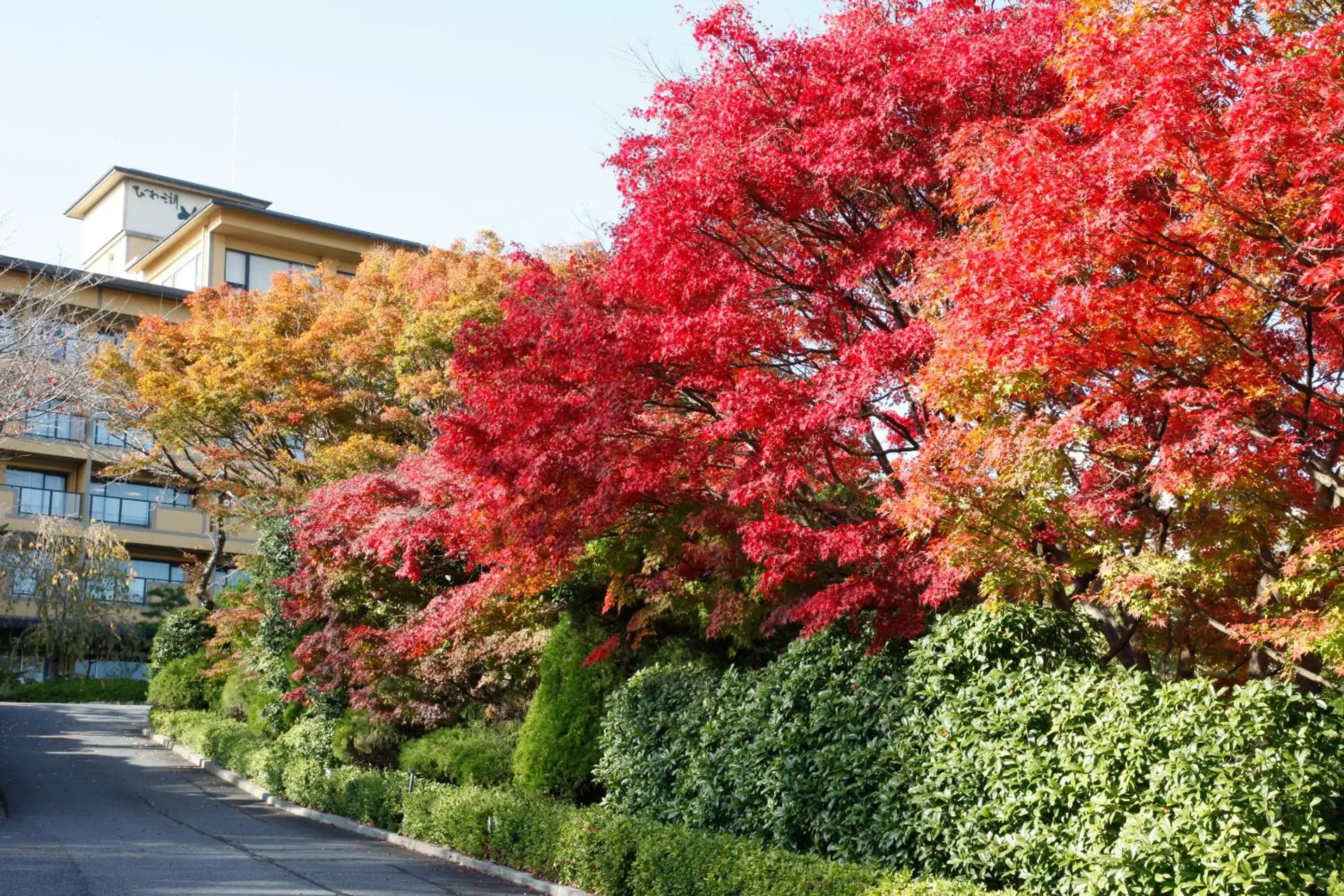 Property Building in Biwako Hanakaido