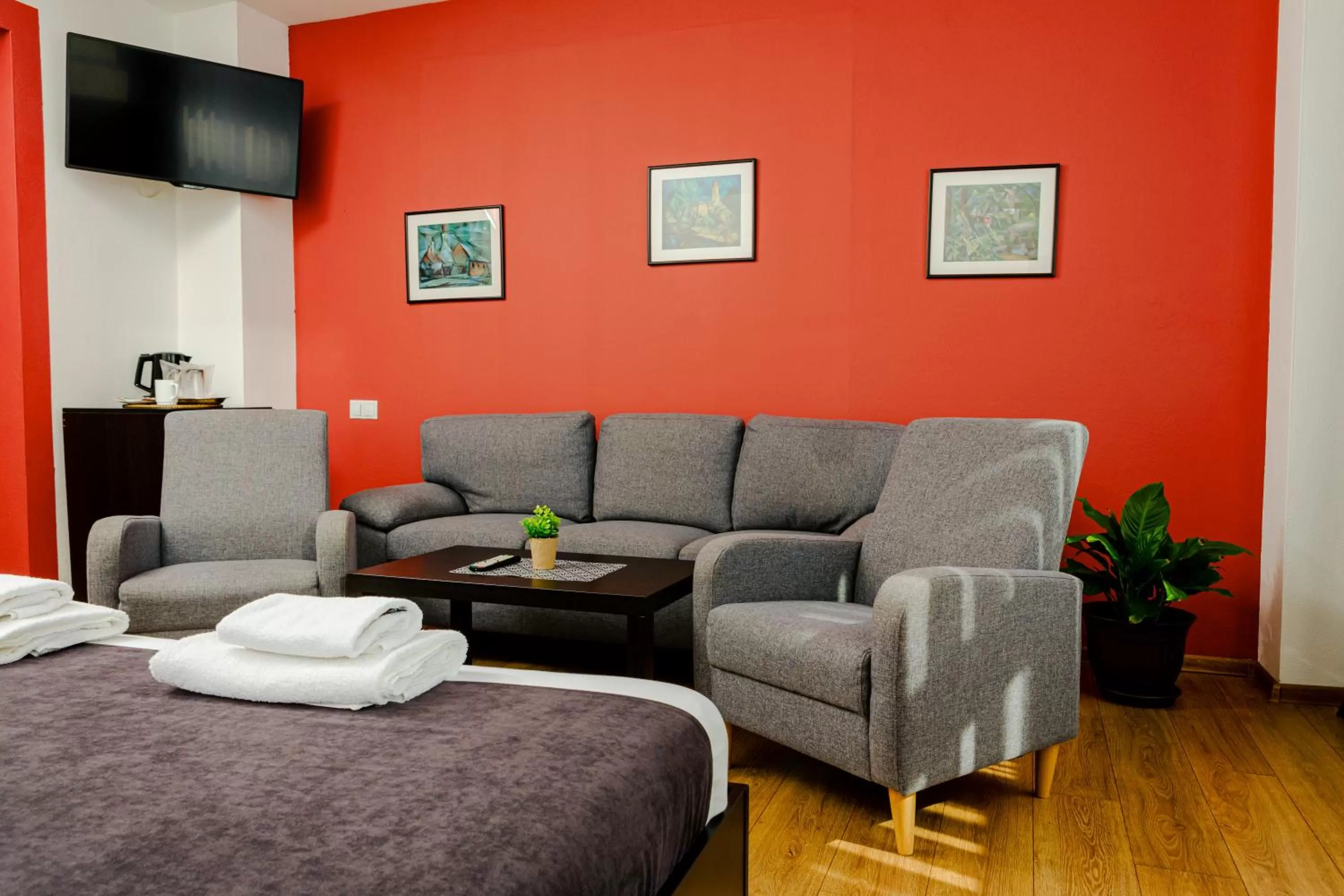 TV and multimedia in Pensiunea Pictorilor