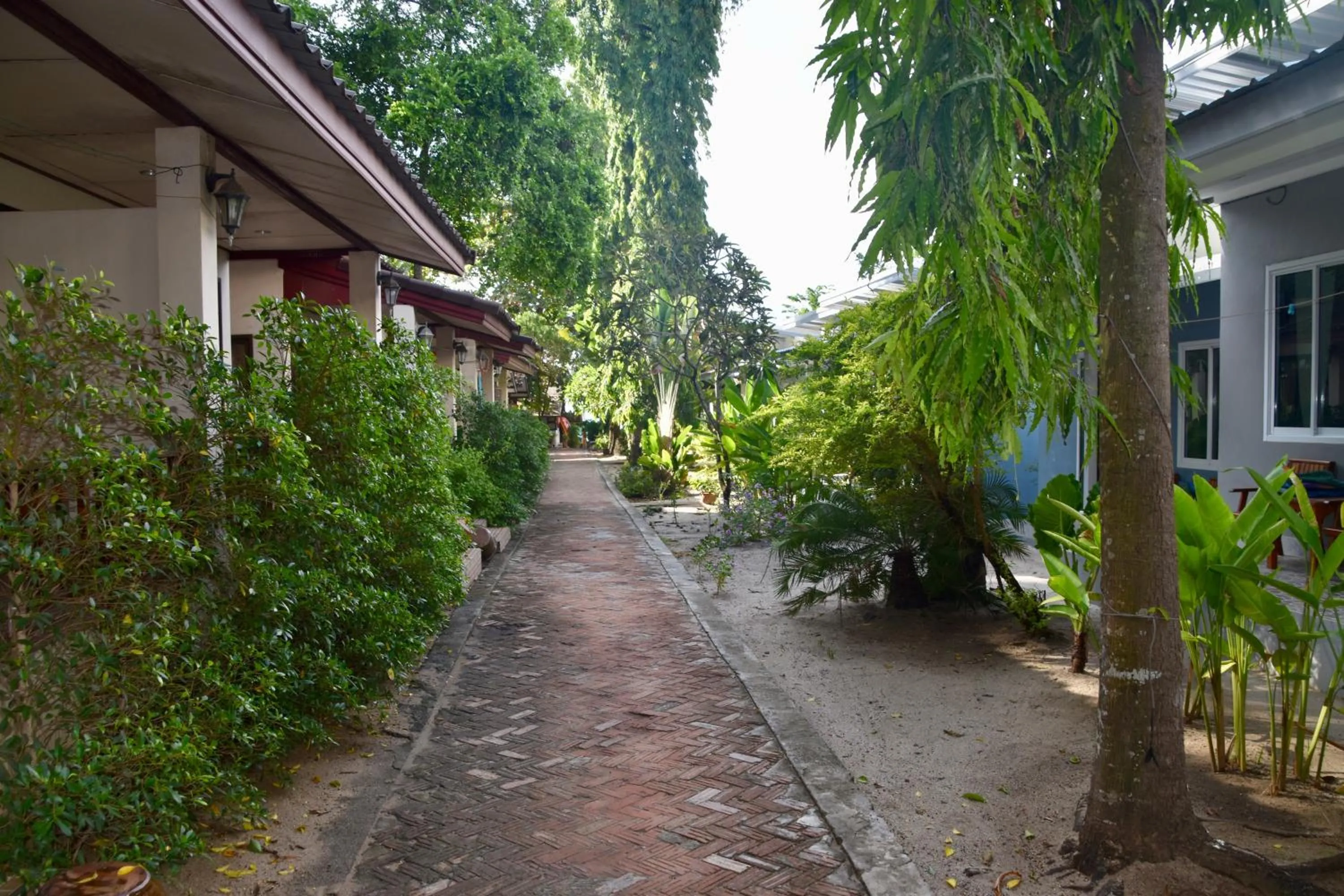 Garden in Magic Resort