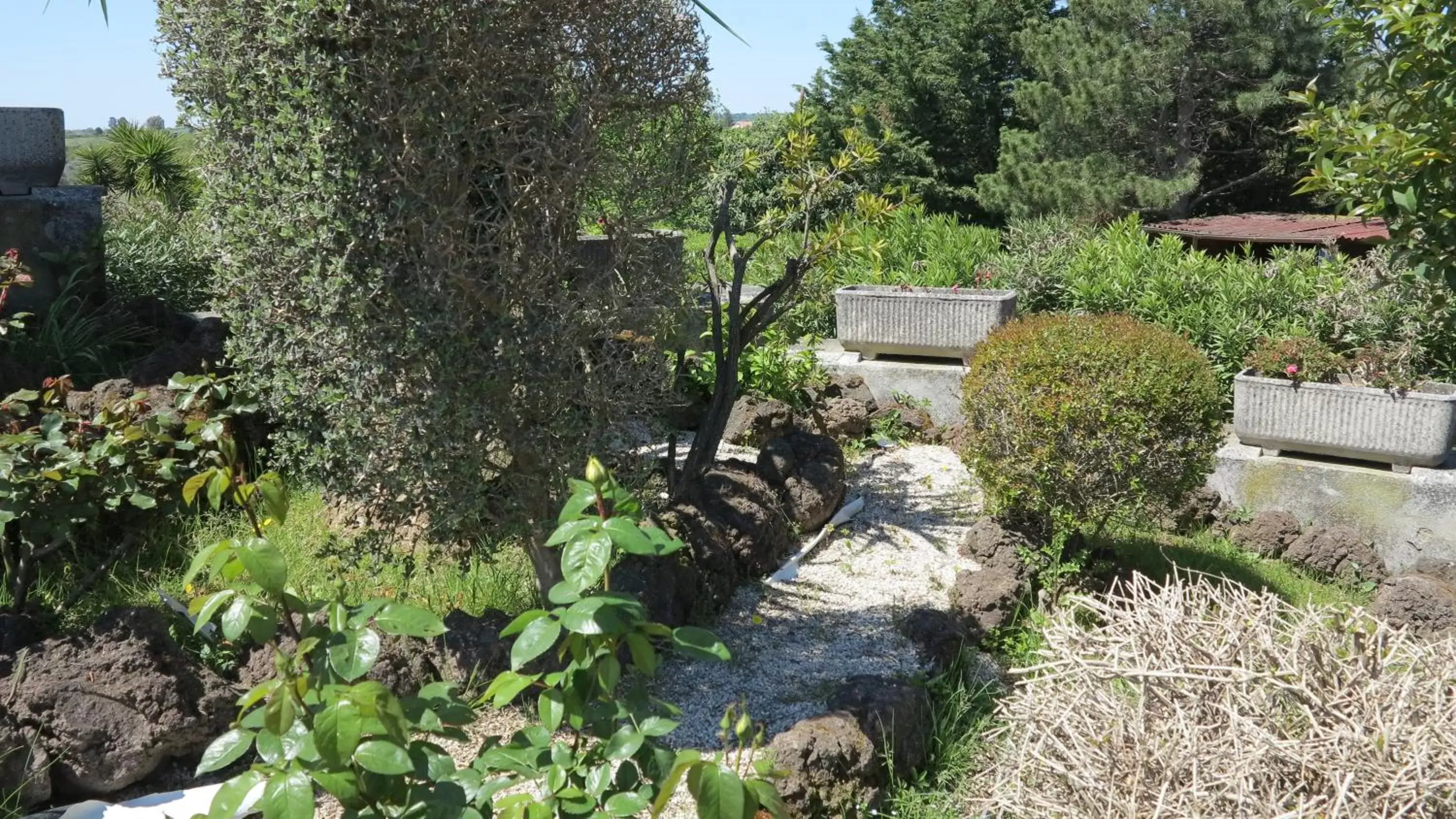 Garden in BiancoCancello