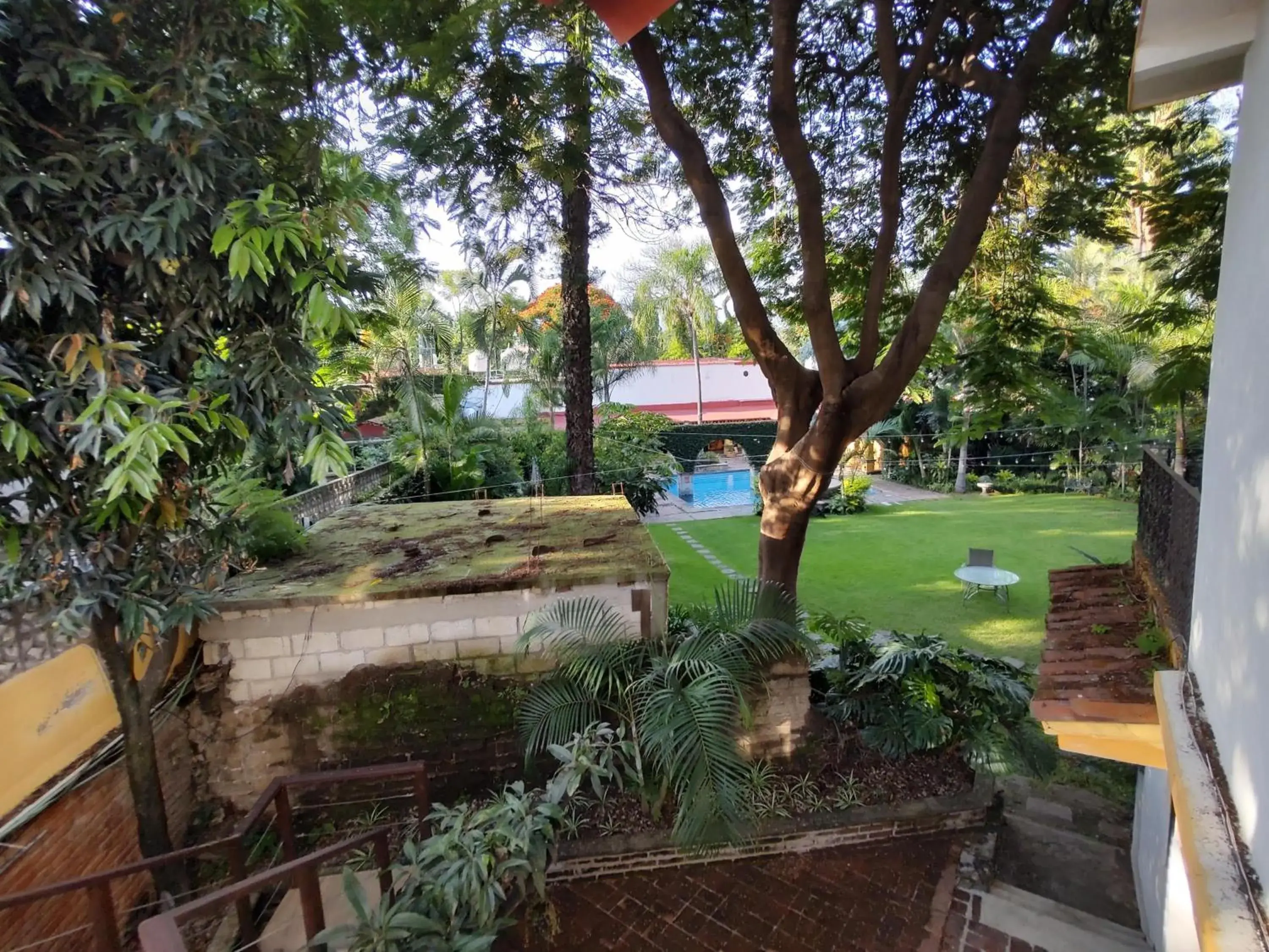 Garden view, Pool View in La Joyita