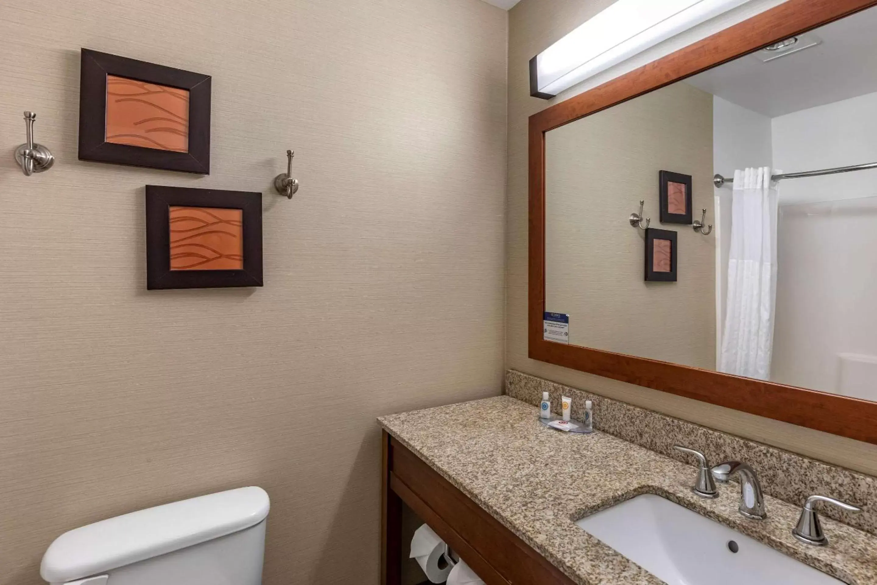 Bedroom, Bathroom in Comfort Inn & Suites Carbondale