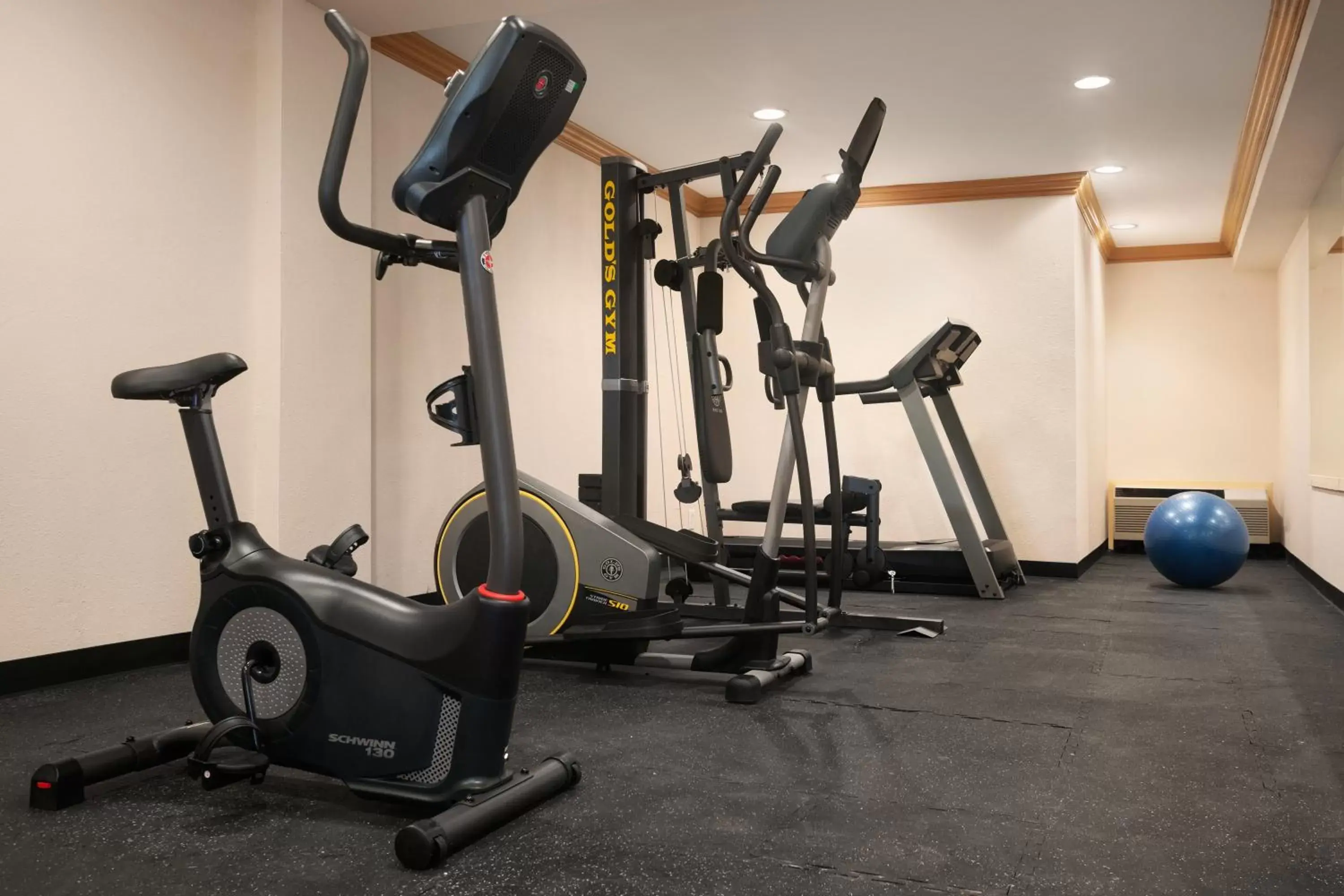 Fitness centre/facilities, Fitness Center/Facilities in Howard Johnson by Wyndham Romulus Detroit Metro Airport