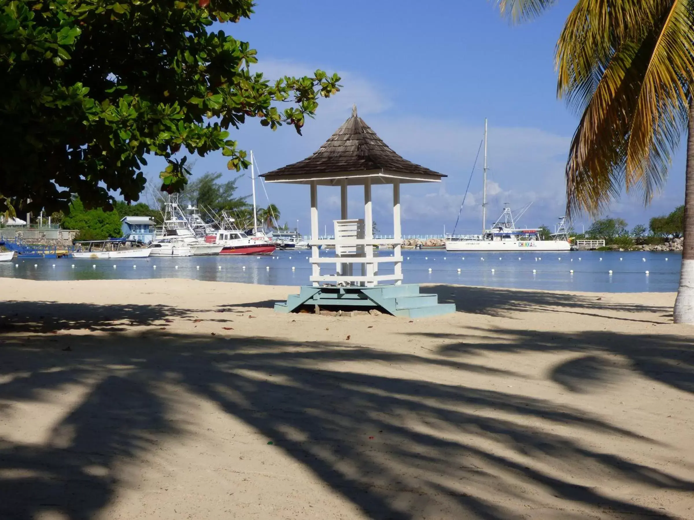 Beach, Swimming Pool in Beach Studio 10