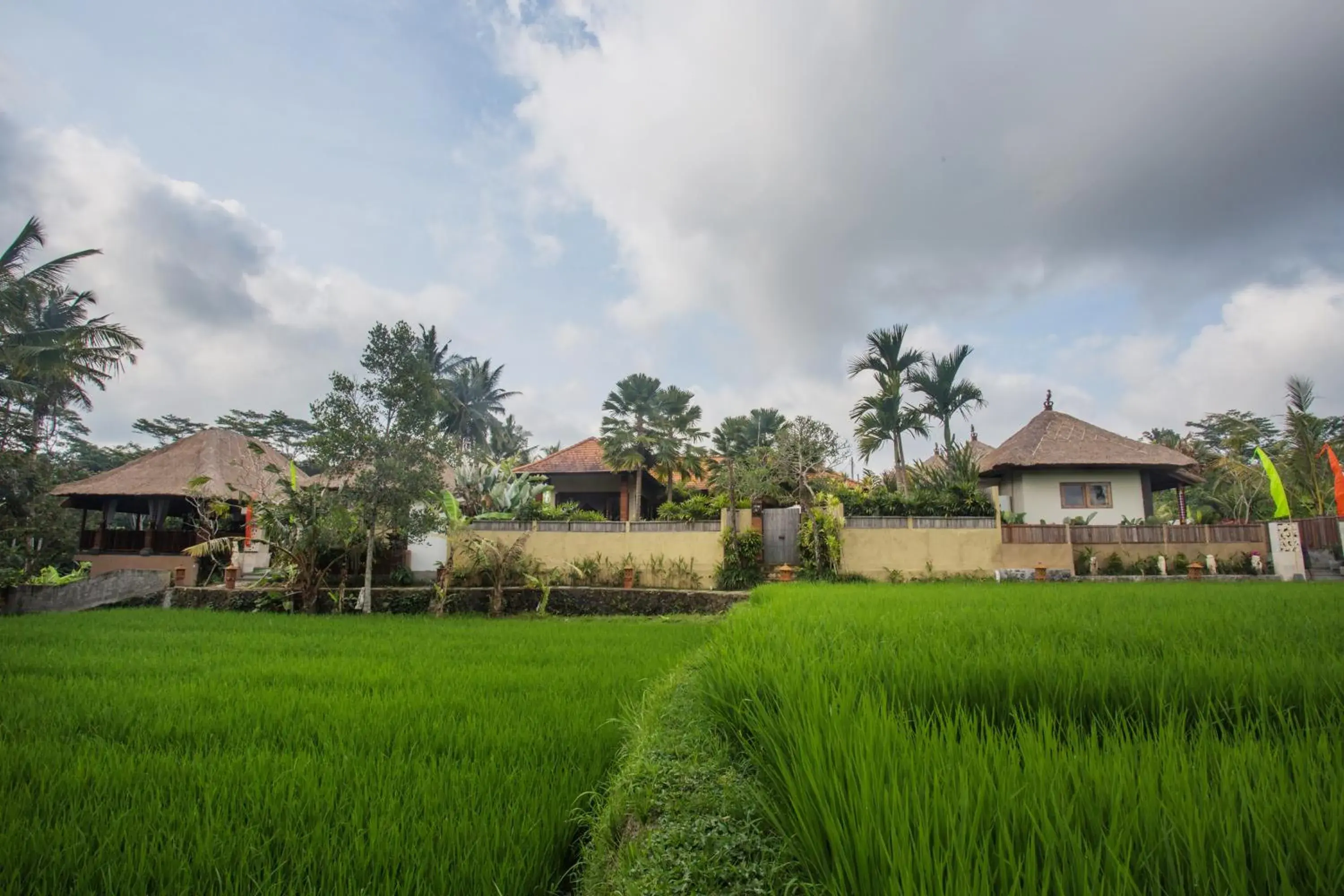 Neighbourhood, Property Building in Ubud Luwih Nature Retreat
