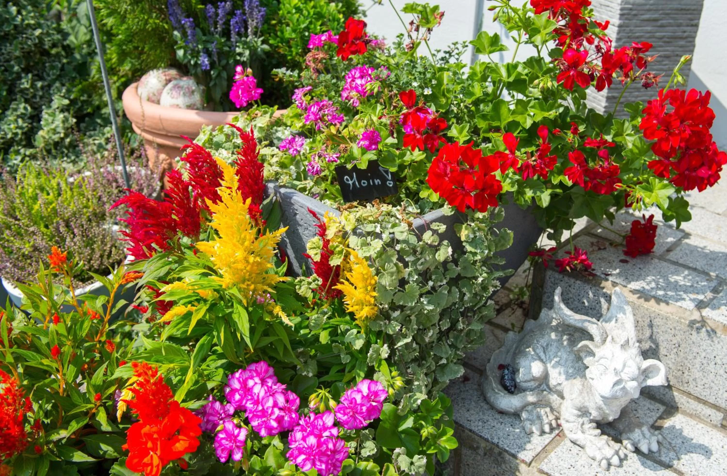 Patio in Hotel Garni am Eckernweg