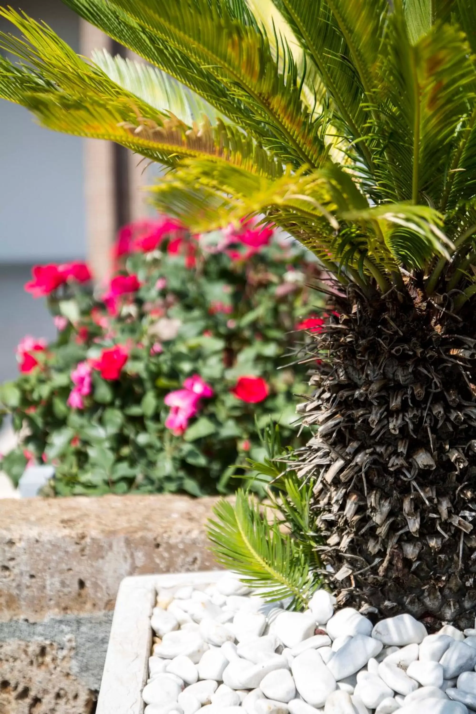 Decorative detail in Hotel Relais Agli Olivi