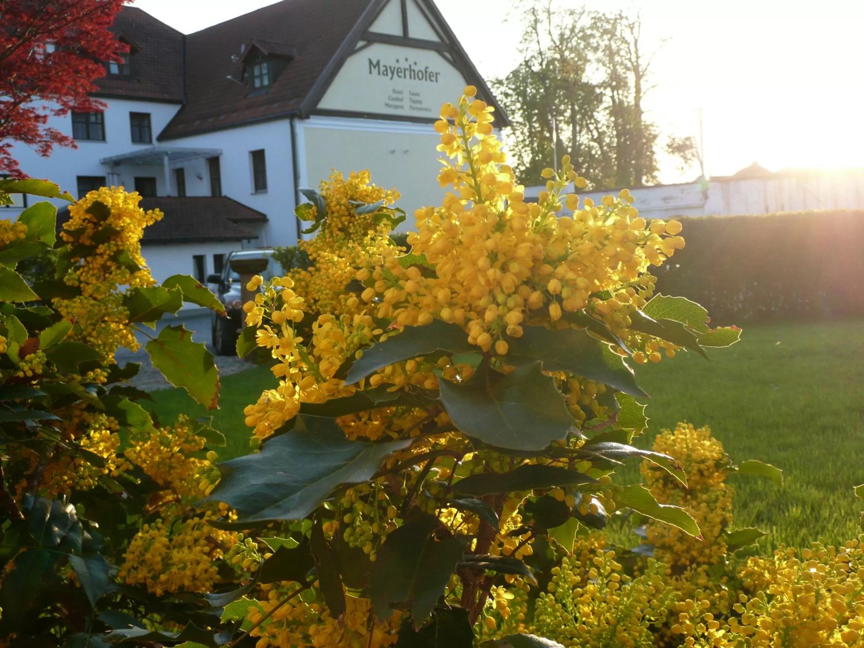 Garden in Hotel-Restaurant Mayerhofer
