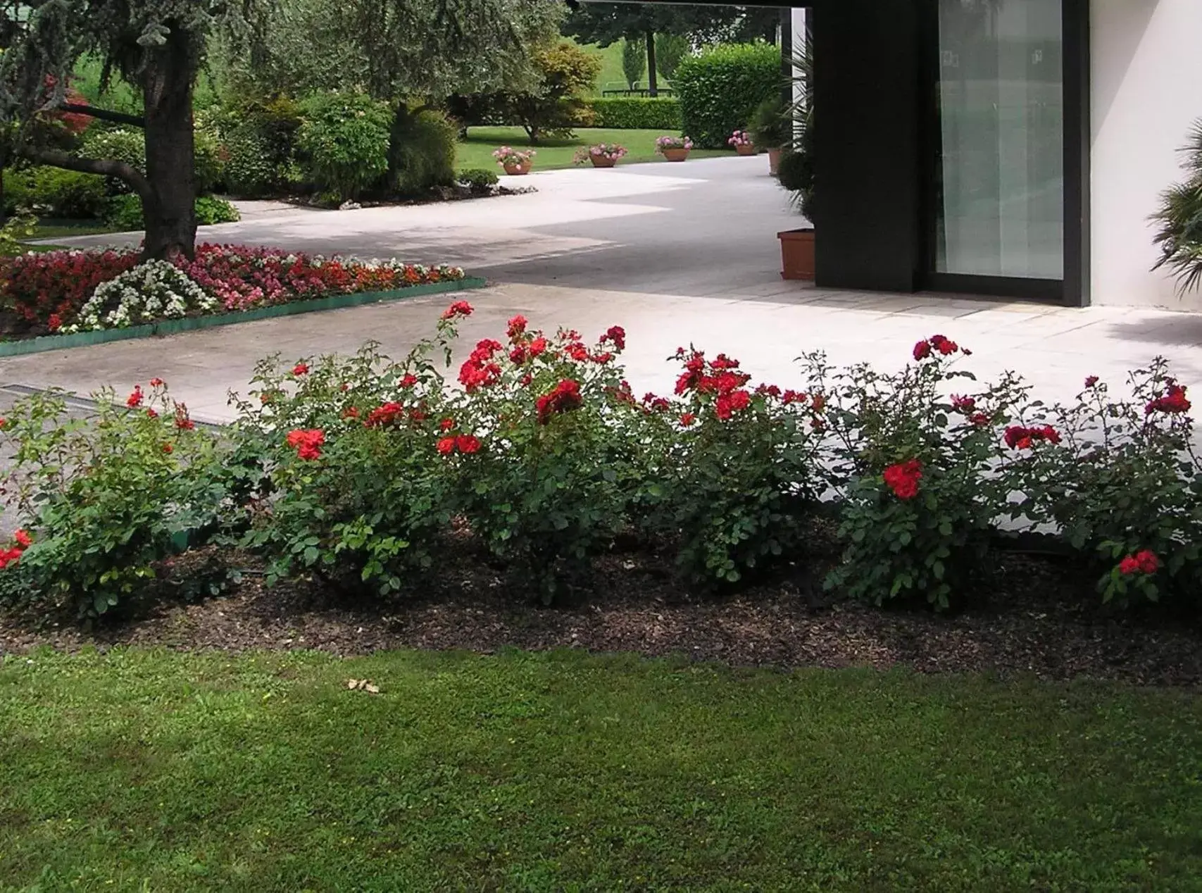 Garden in Hotel Giovanni