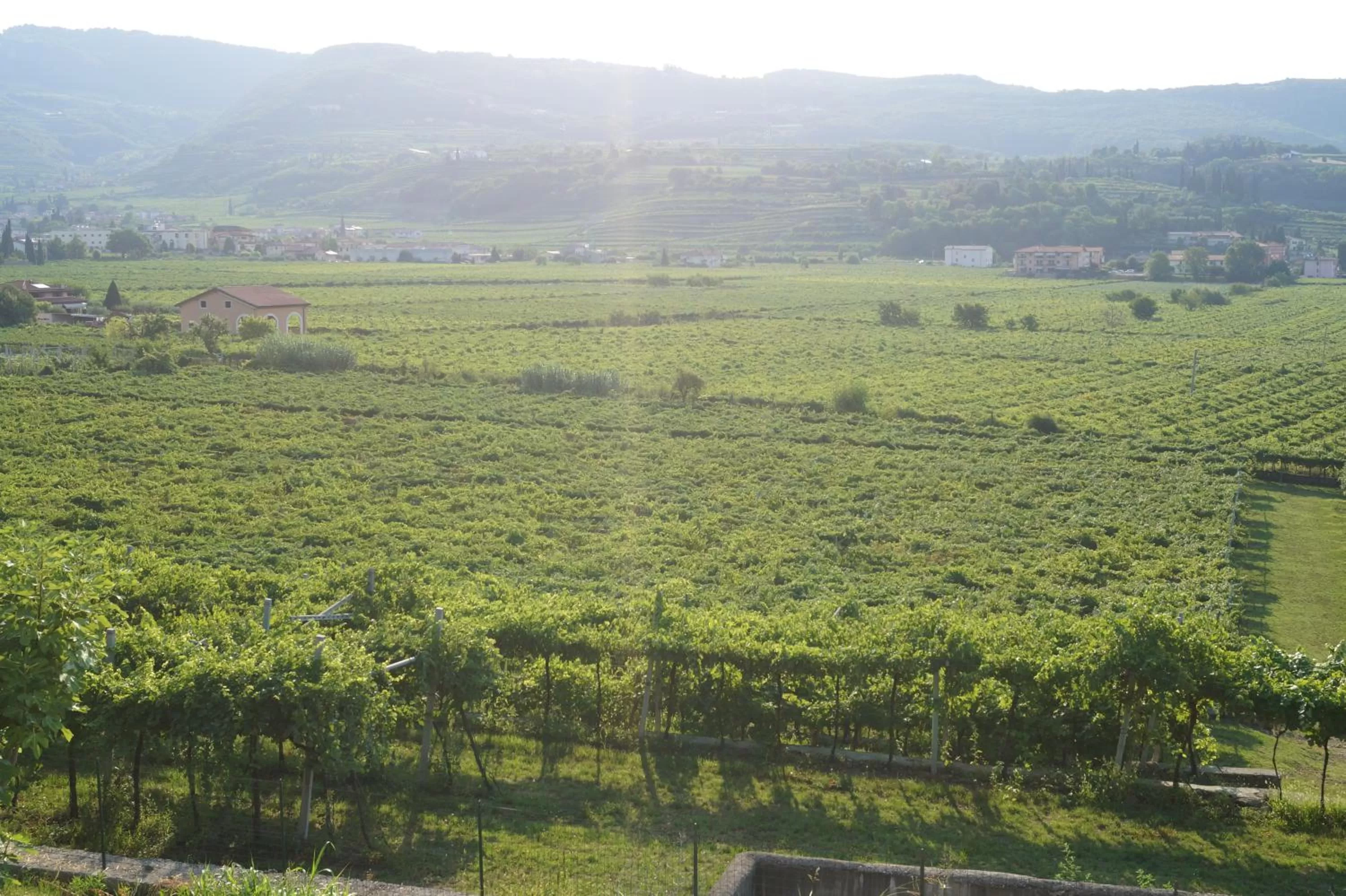 Spring in Hotel Villa Moron