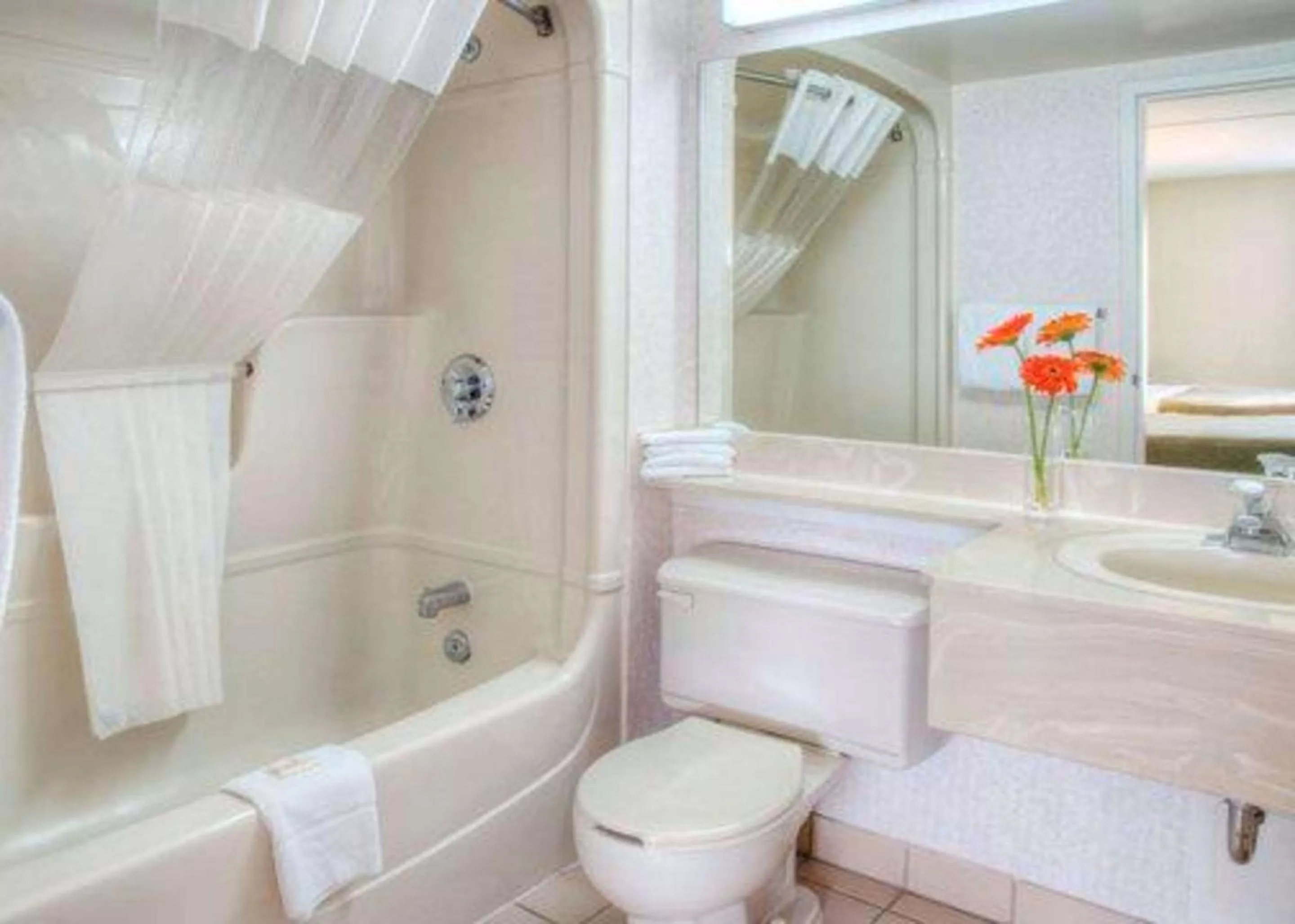 Bathroom in Quality Inn and Suites Montreal East