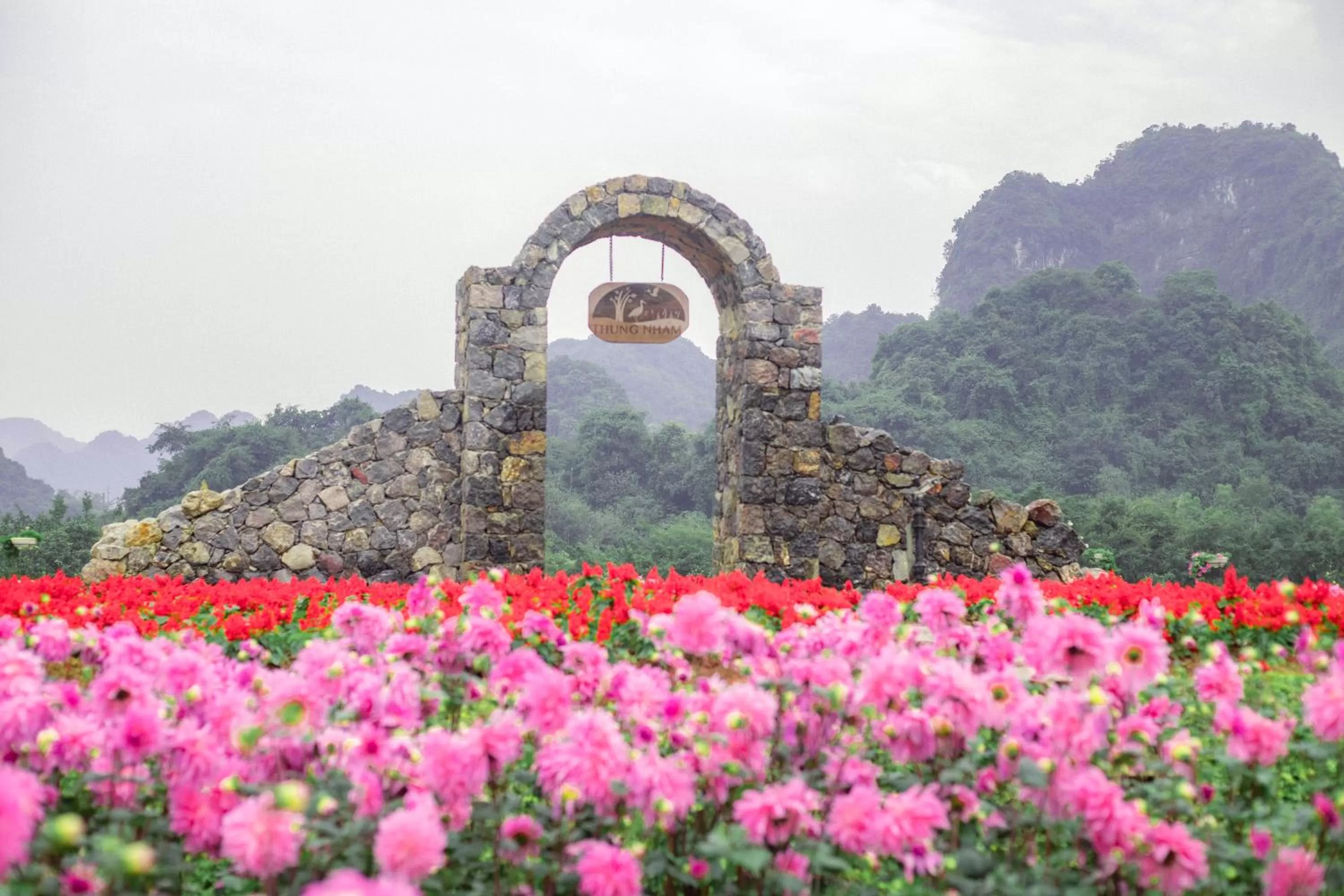 Natural landscape in Thung Nham Resort