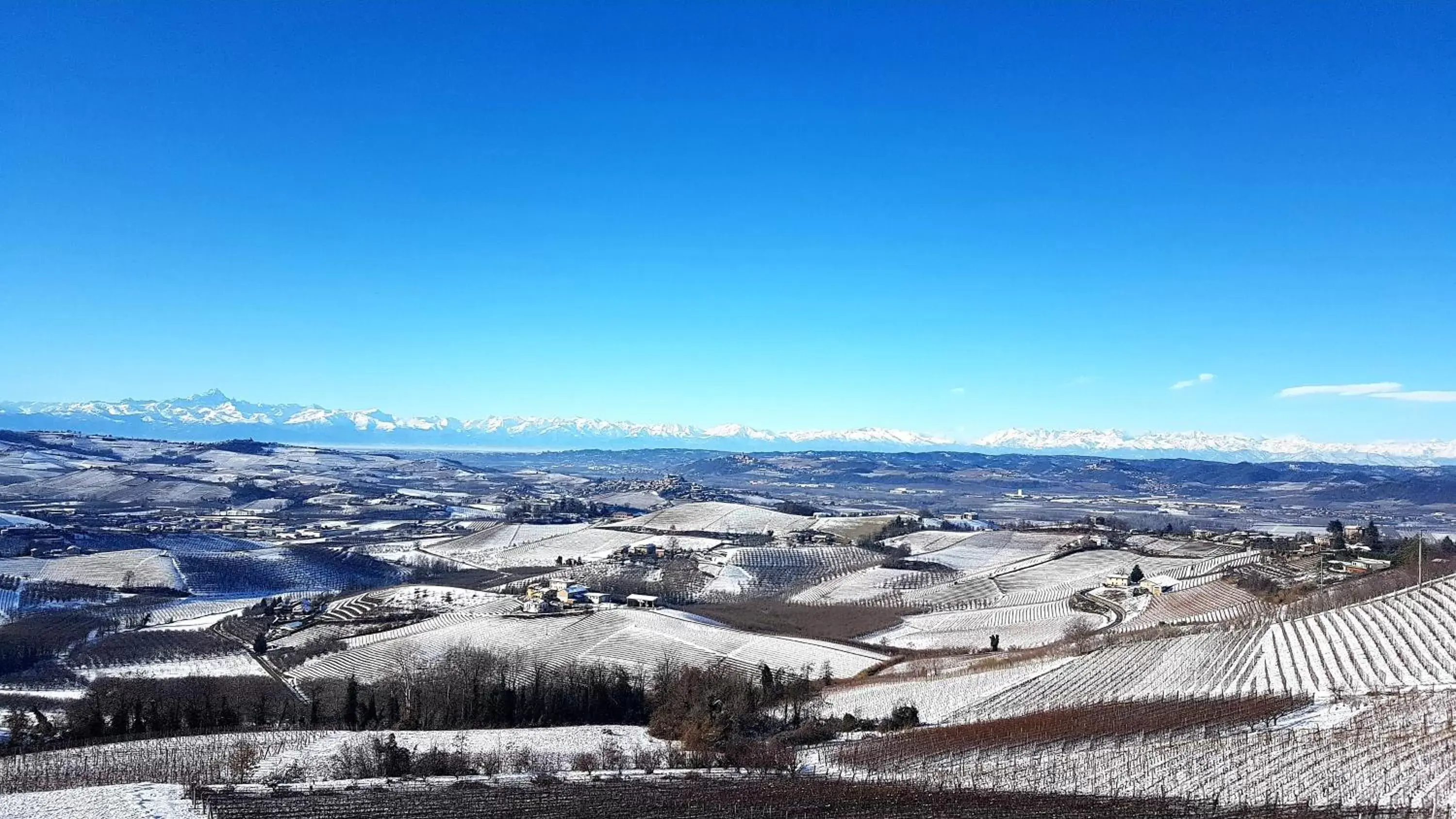 Natural landscape, Bird's-eye View in Villa Bellavista Alba, B&B