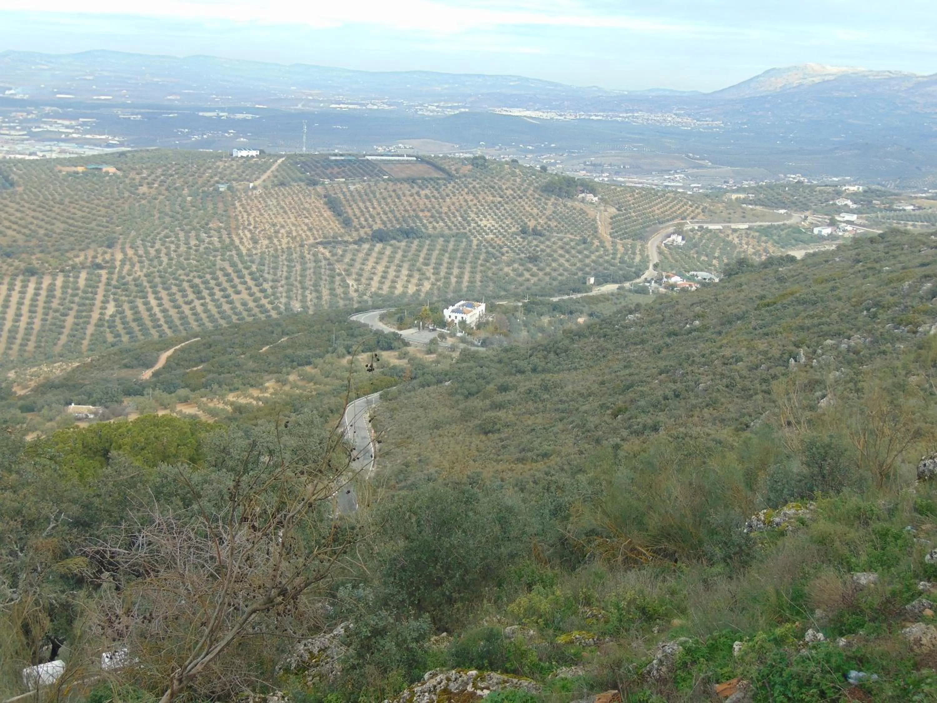 Area and facilities in Hotel Sierra de Araceli Lucena