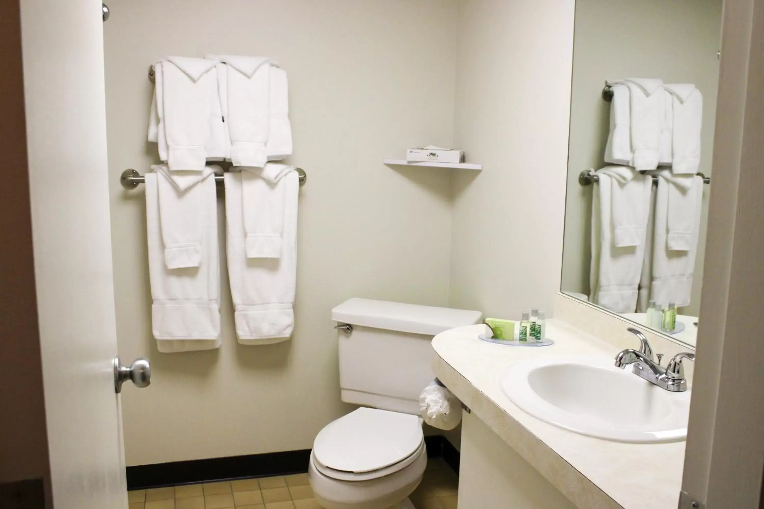 Bathroom in Fireside Inn & Suites Gilford