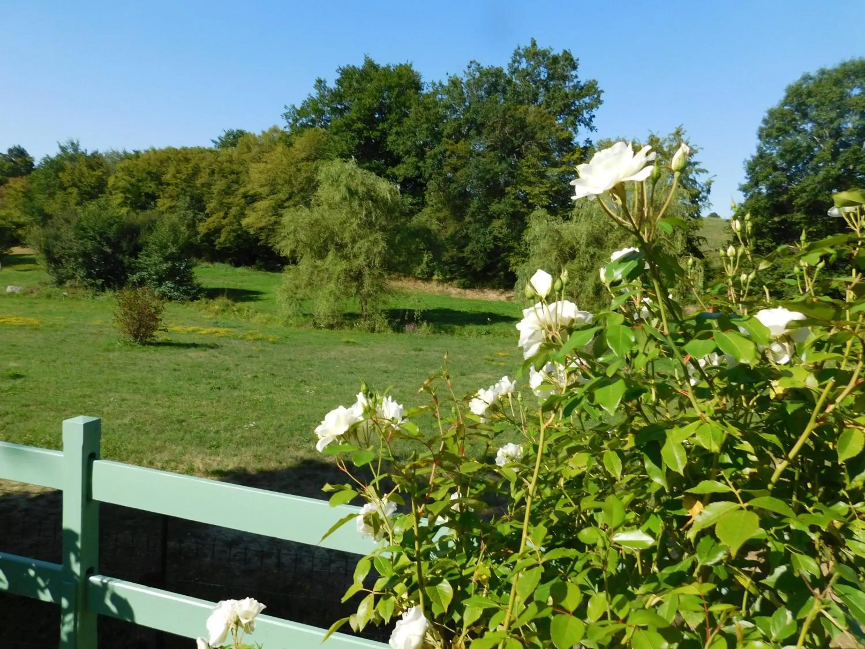 Garden view in Du coq à l'âme