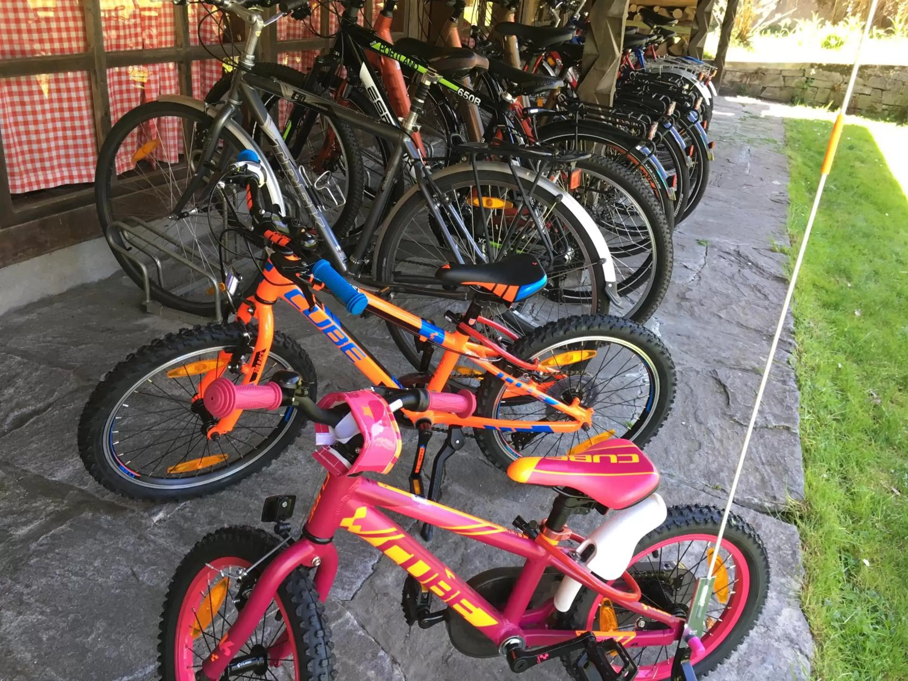 Cycling, Biking in Garni Villa Siesta Park