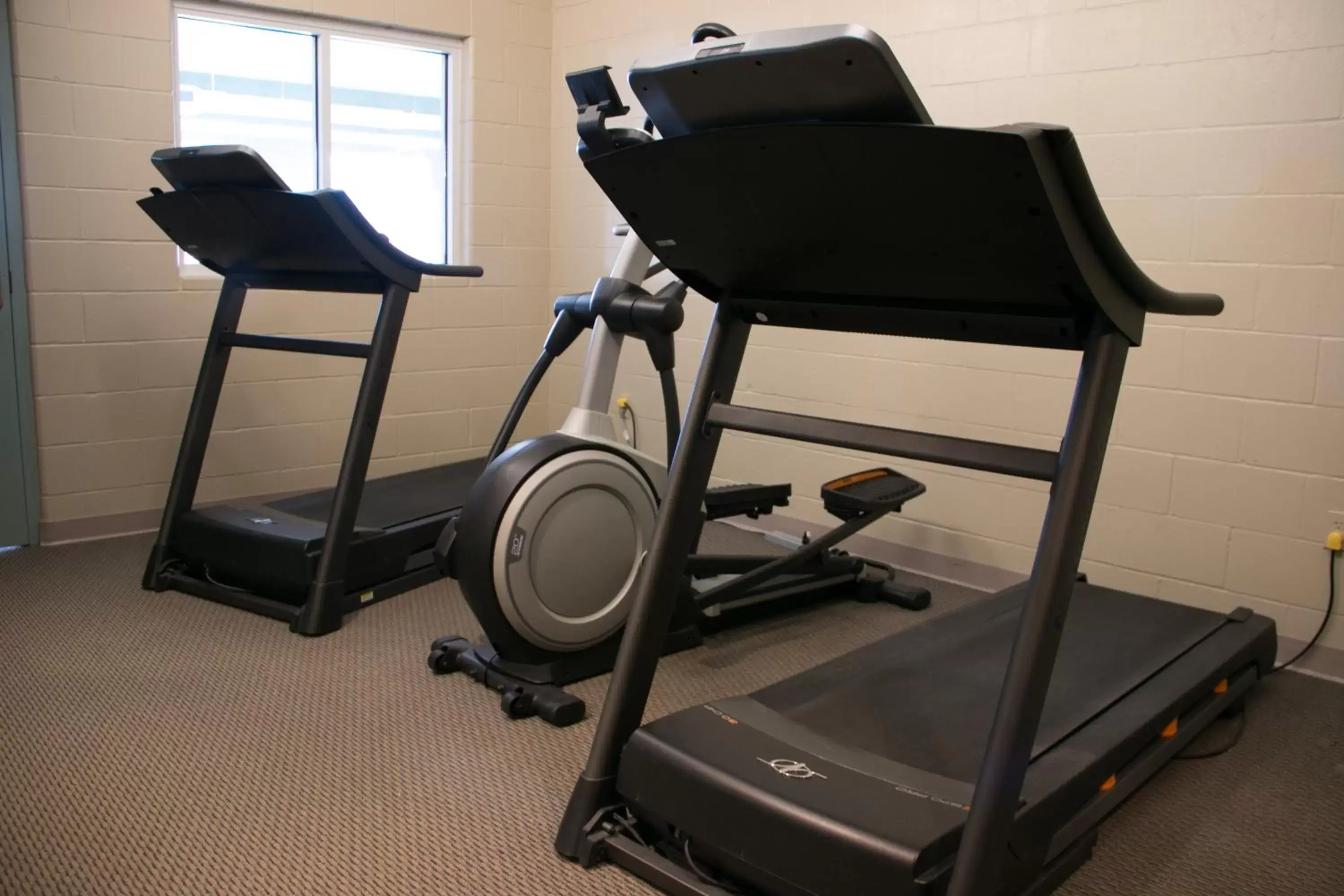 Fitness centre/facilities, Fitness Center/Facilities in Essenhaus Inn & Conf. Center