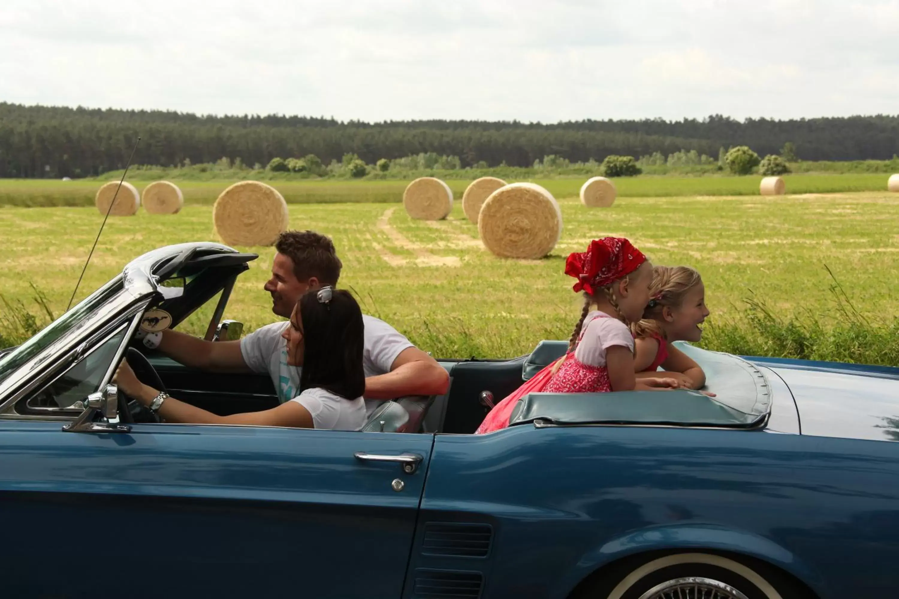 Natural landscape, Guests in Schloss Basthorst