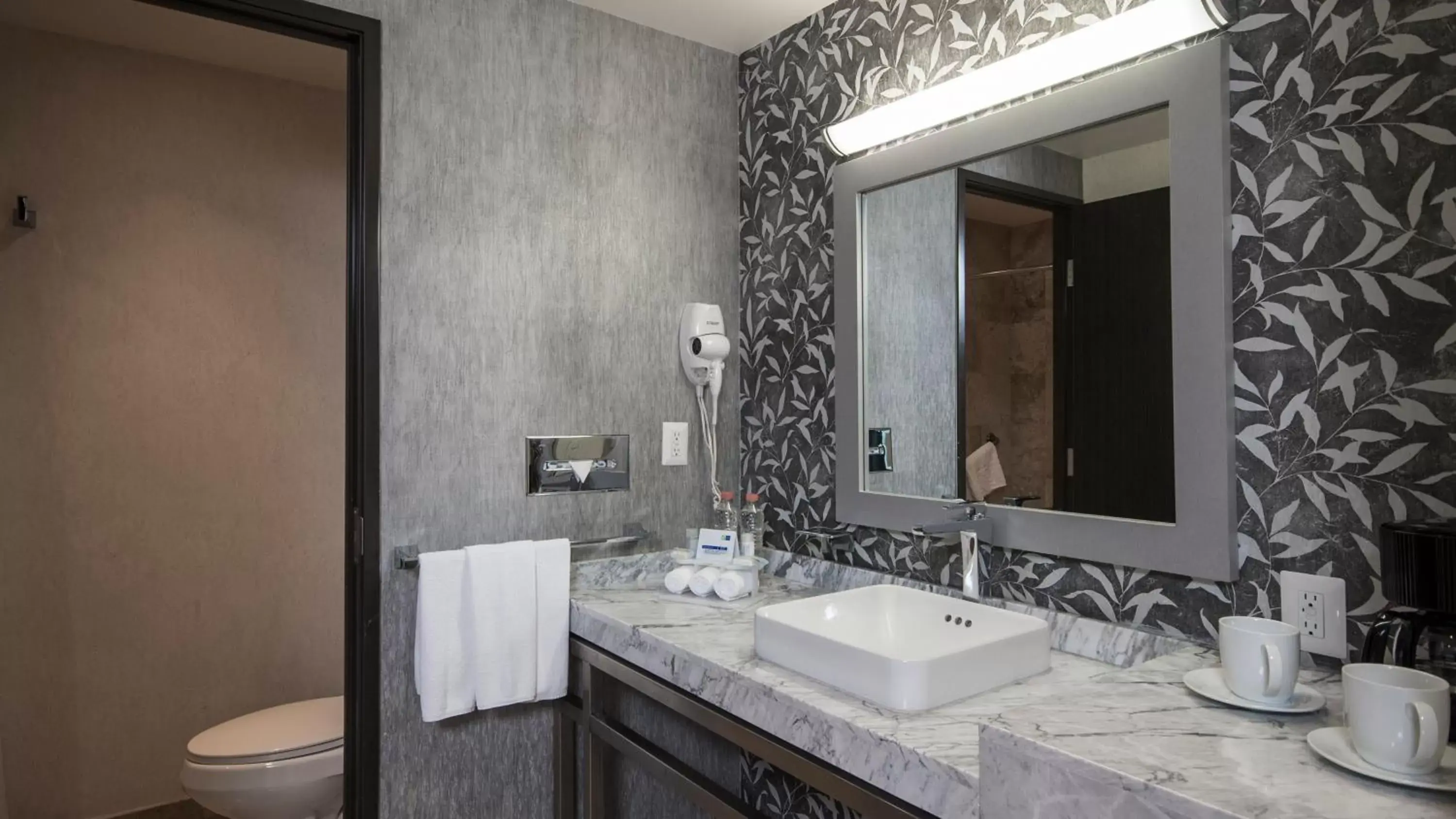 Photo of the whole room, Bathroom in Holiday Inn Express & Suites Queretaro, an IHG Hotel