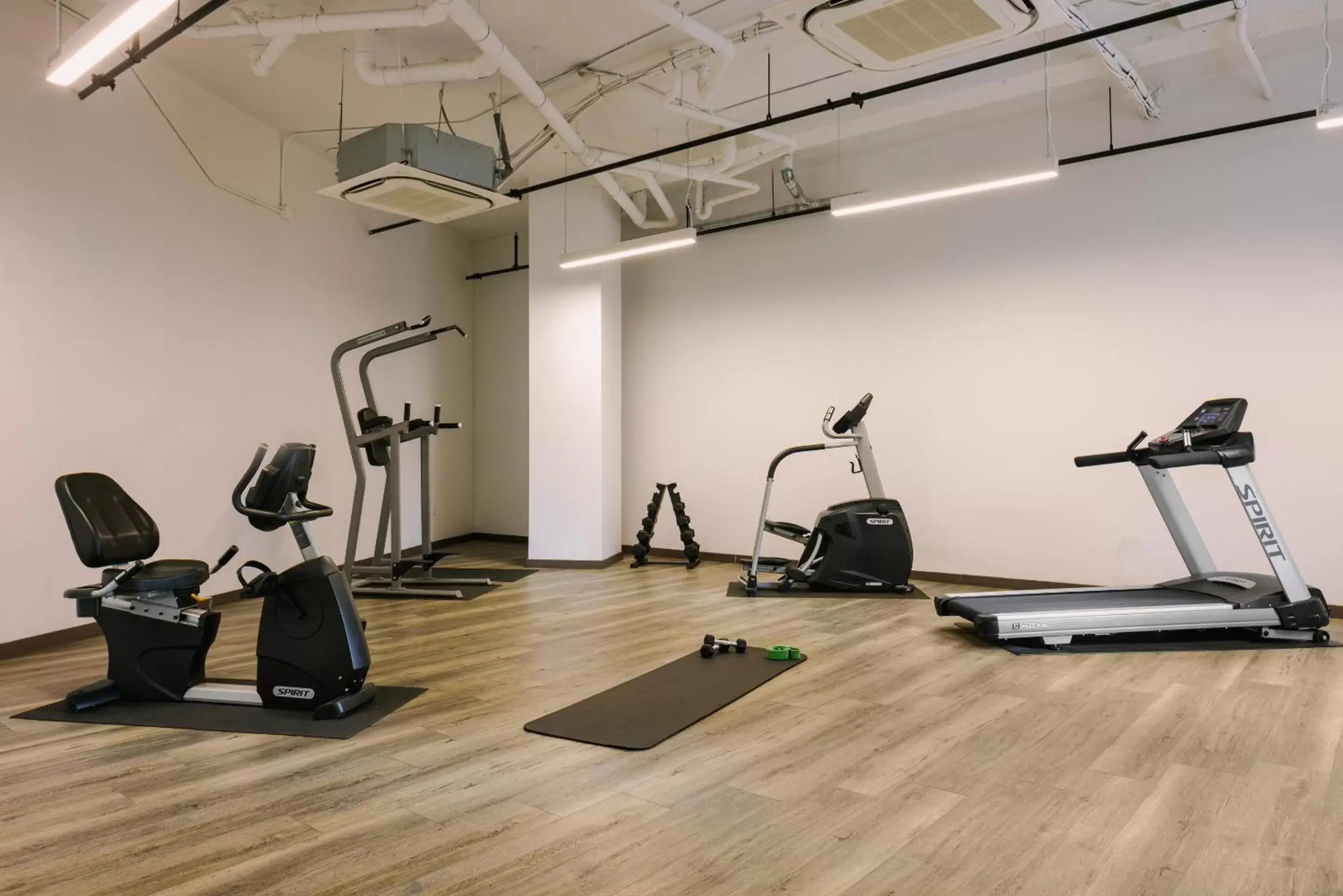 Fitness centre/facilities, Fitness Center/Facilities in Sonder Gabriel Richard