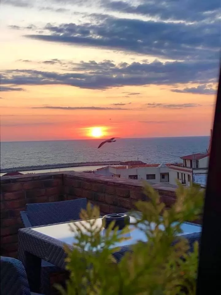 Belle Epoque Boutique (Adult Only)