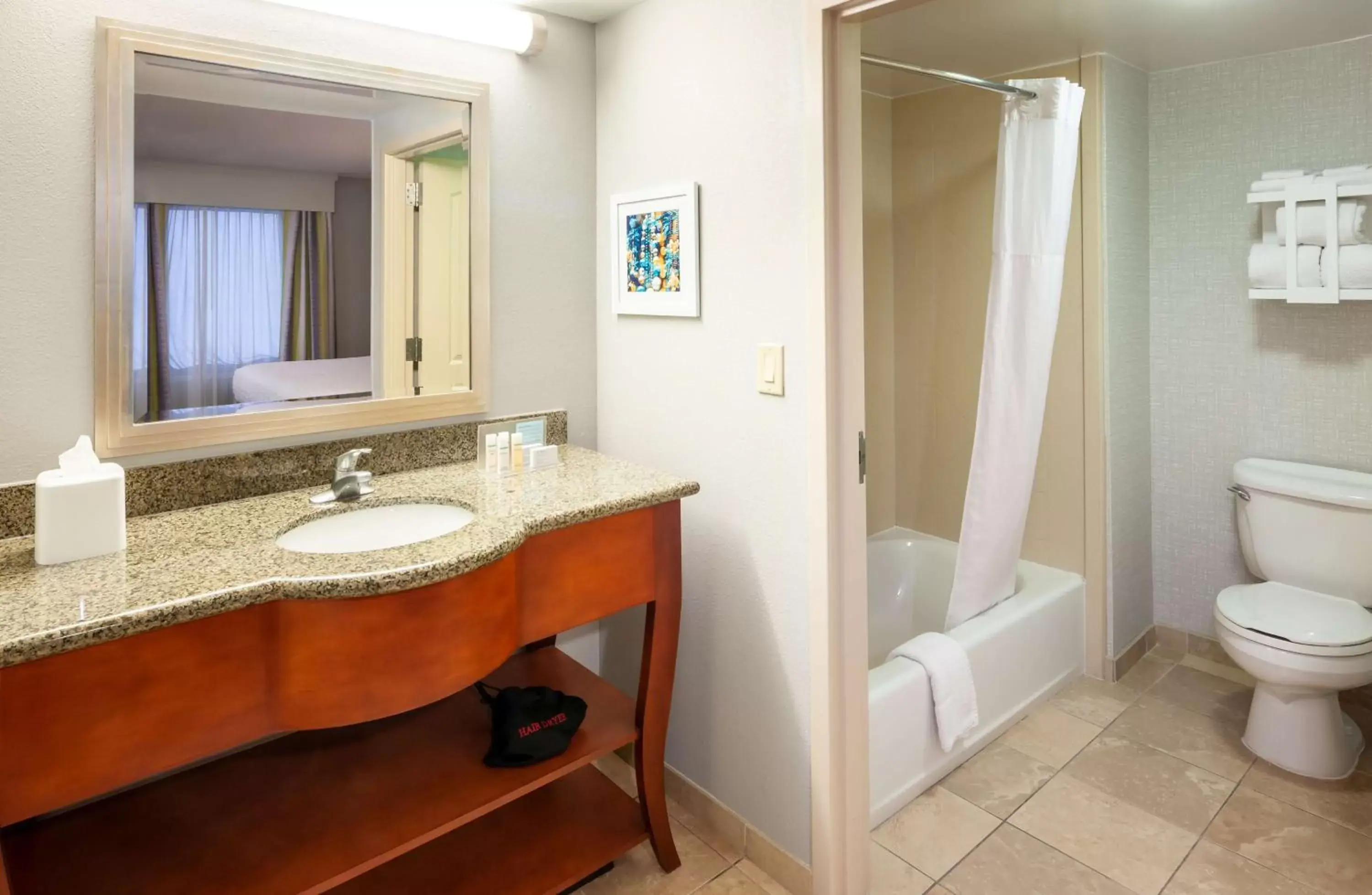 Bathroom in Hampton Inn & Suites Mobile I-65@ Airport Boulevard