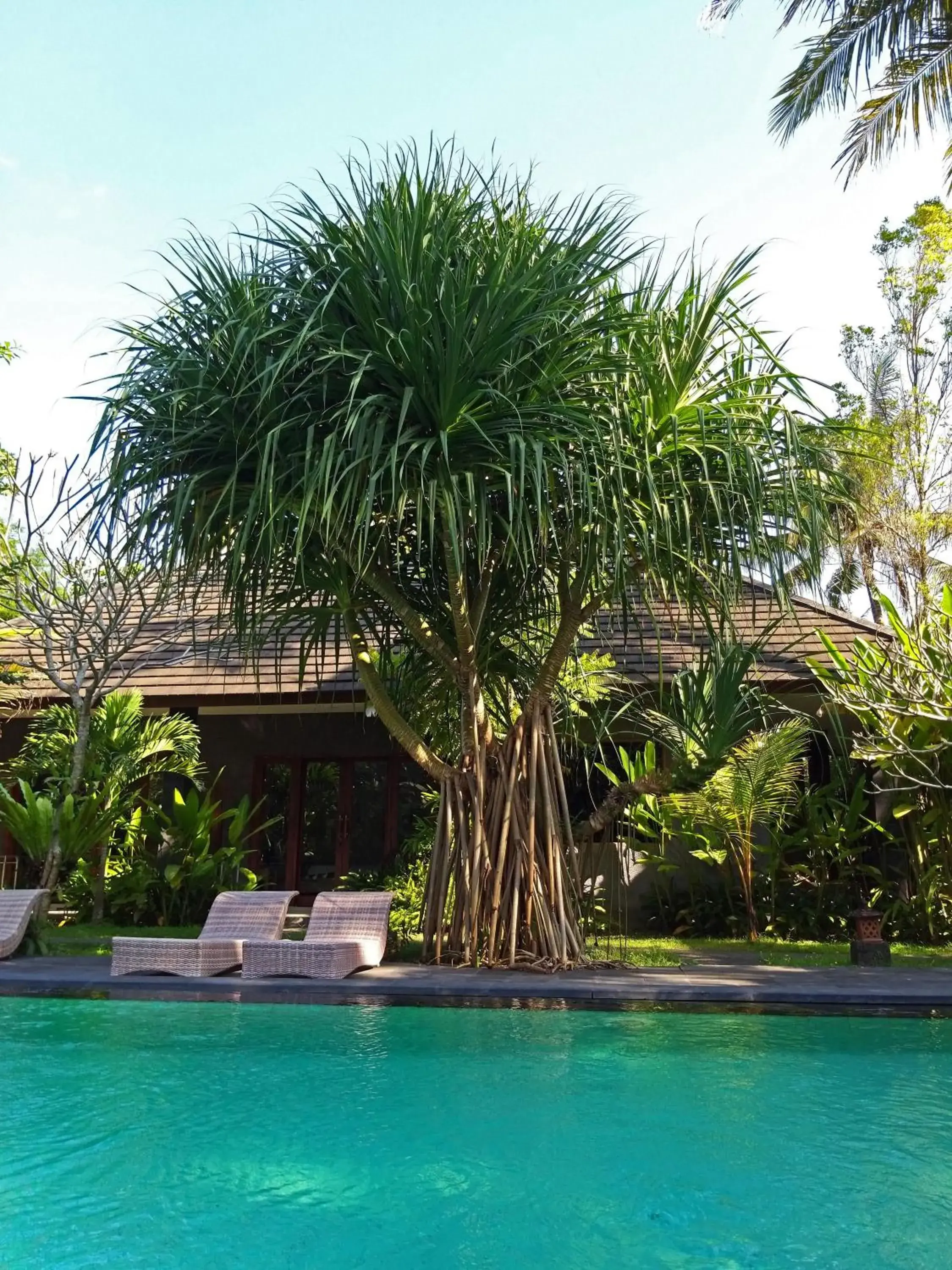 Garden, Swimming Pool in Ubad Retreat, A Local Family Run Hotel