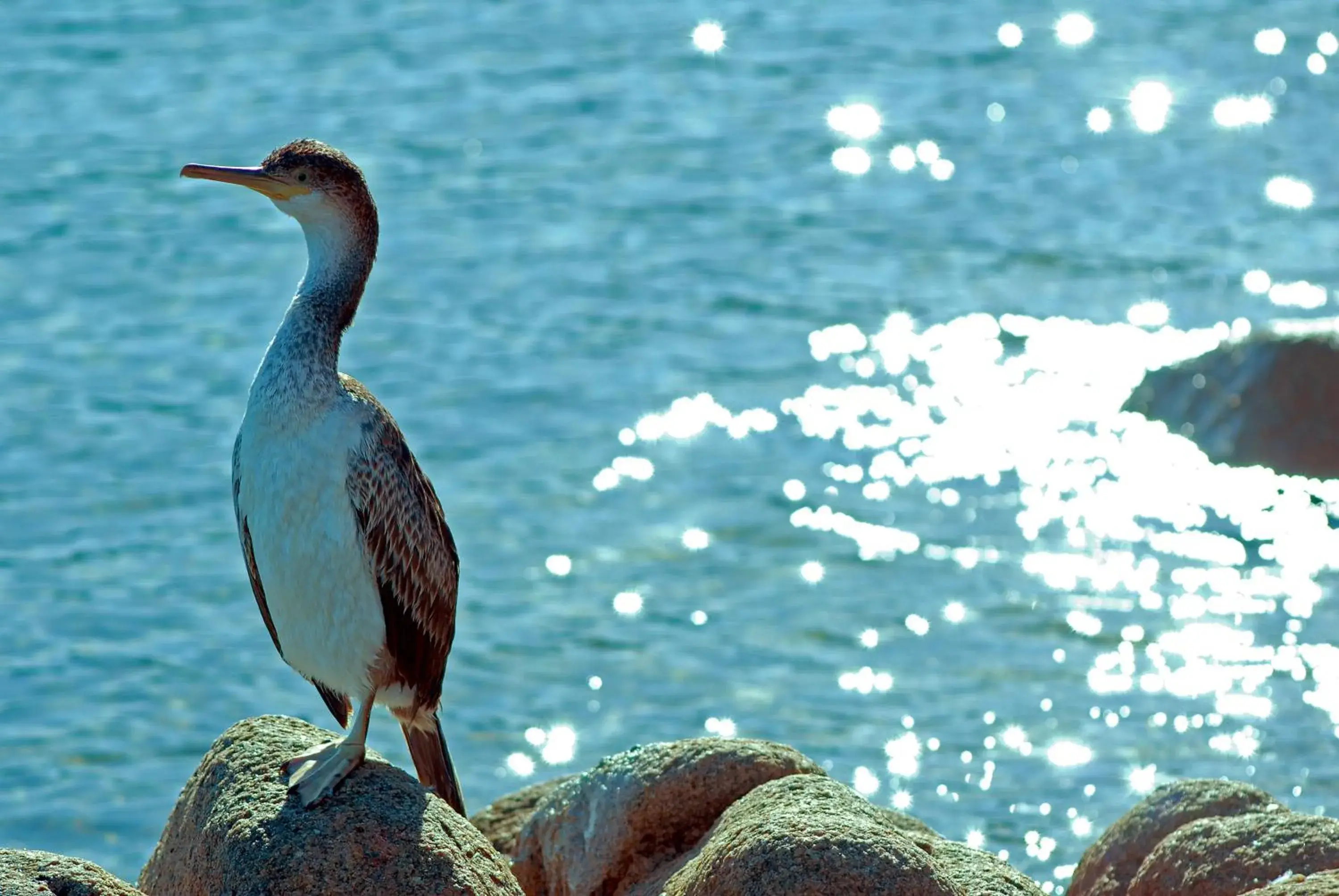 Facade/entrance in Grand Hotel Resort&SPA Ma&Ma - Adults Only Facade/entrance in Grand Hotel Resort&SPA Ma&Ma - Adults Only