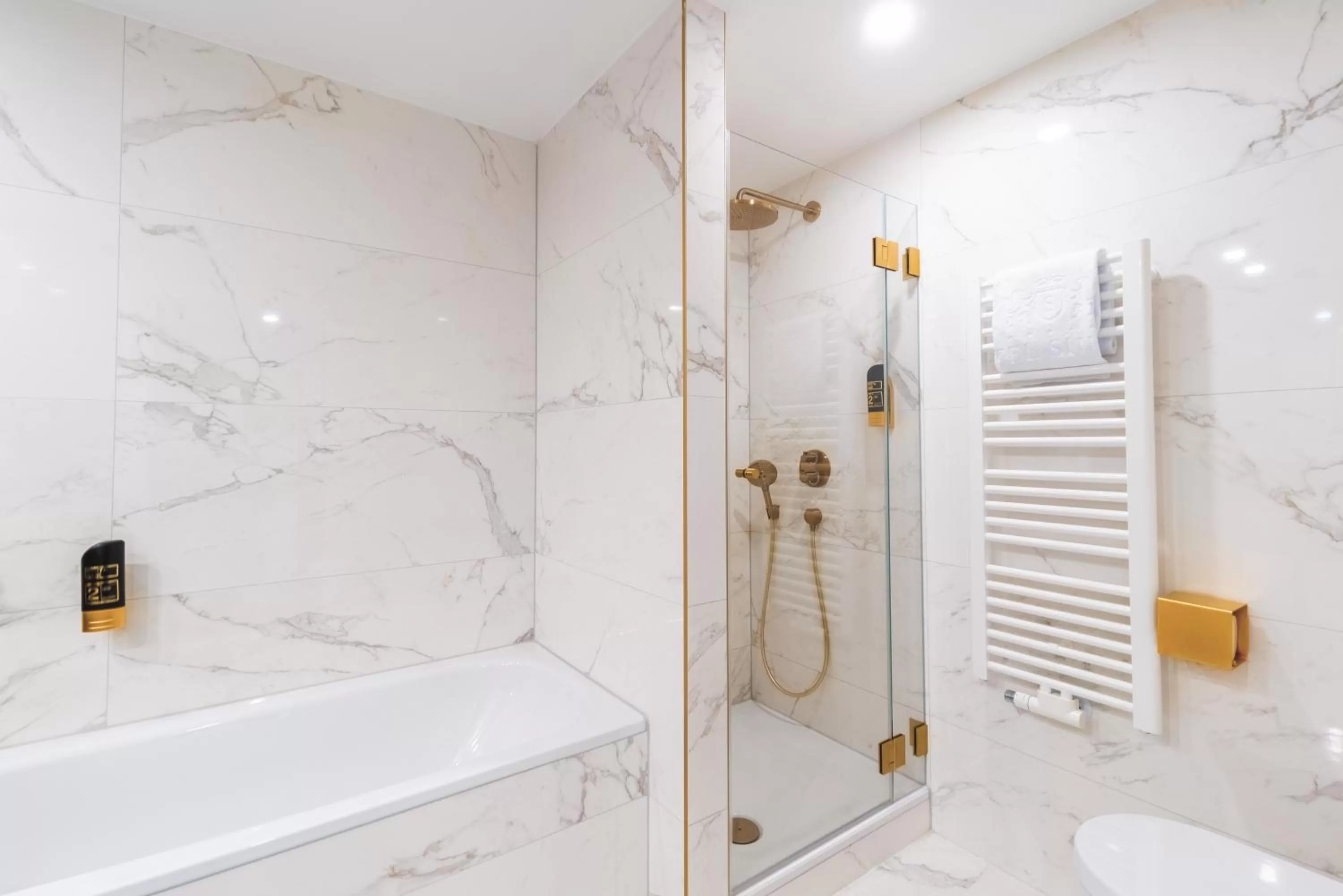 Shower in Hotel Suitess