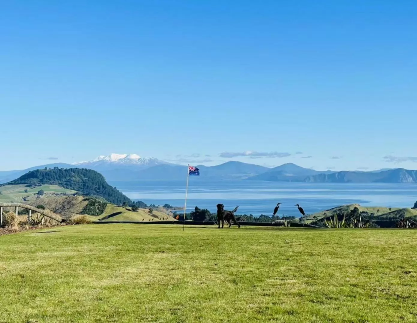 Hilltop Whakaipo Estate