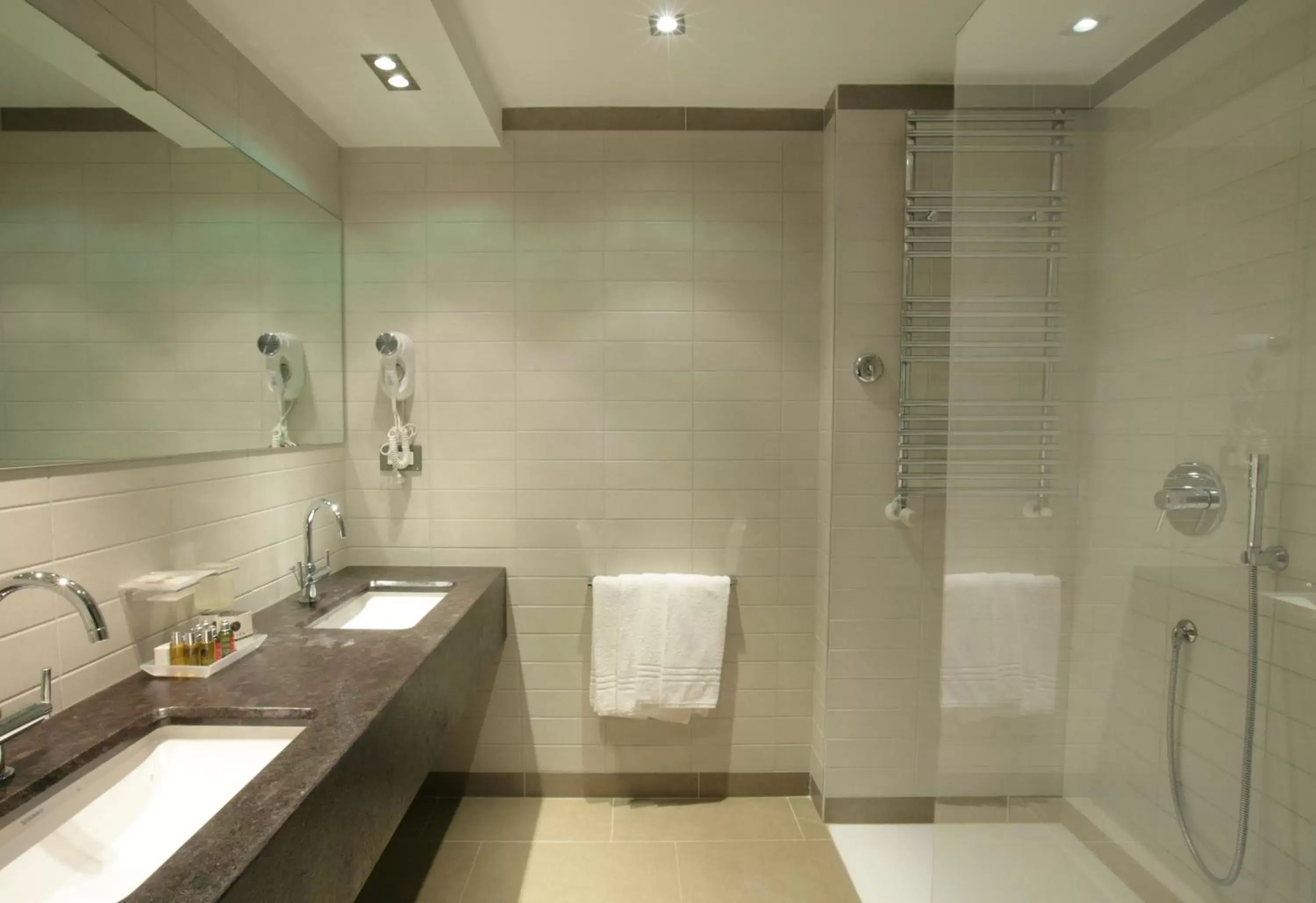 Shower, Bathroom in Hotel Mirasole International