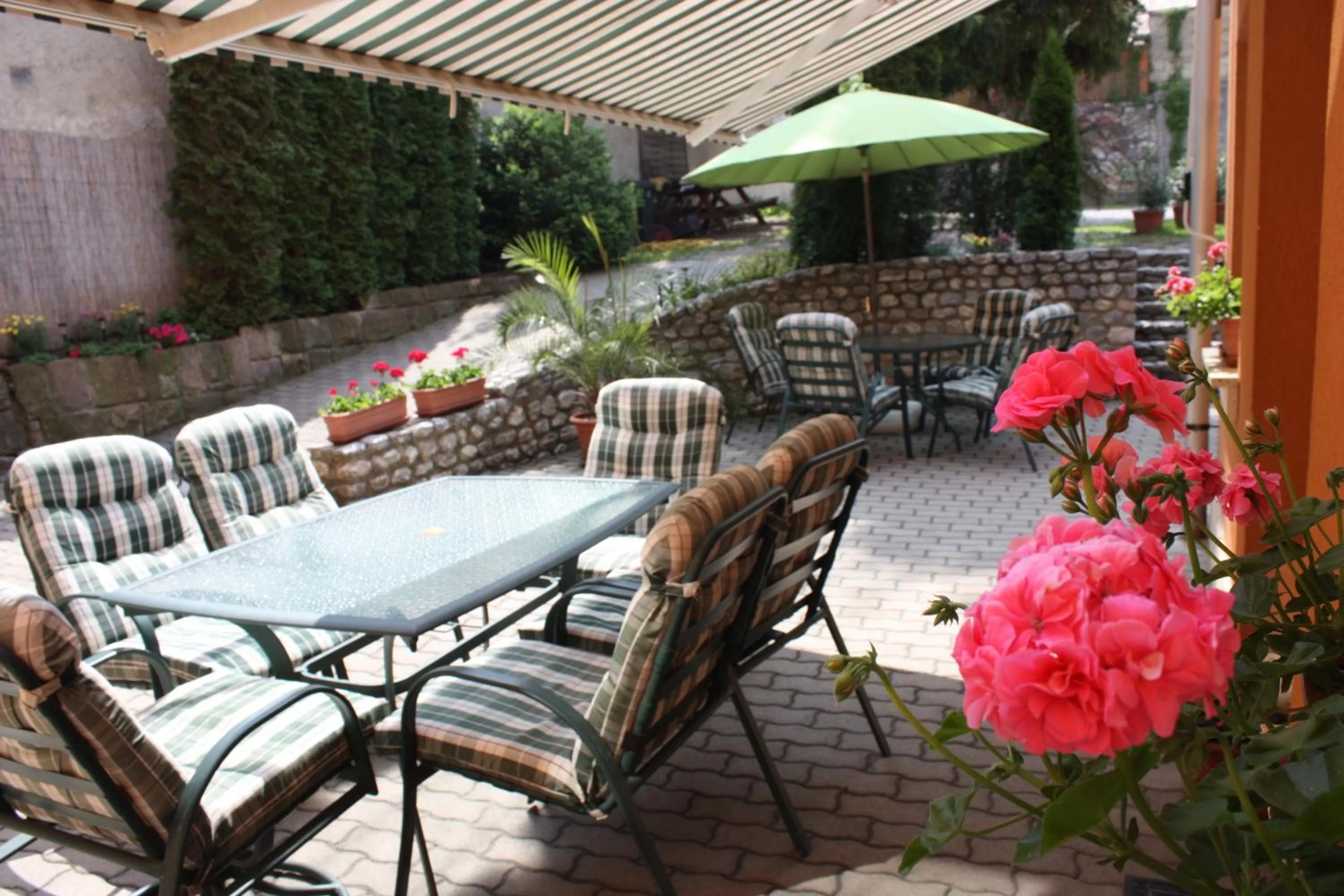 Garden in Európa Panzió